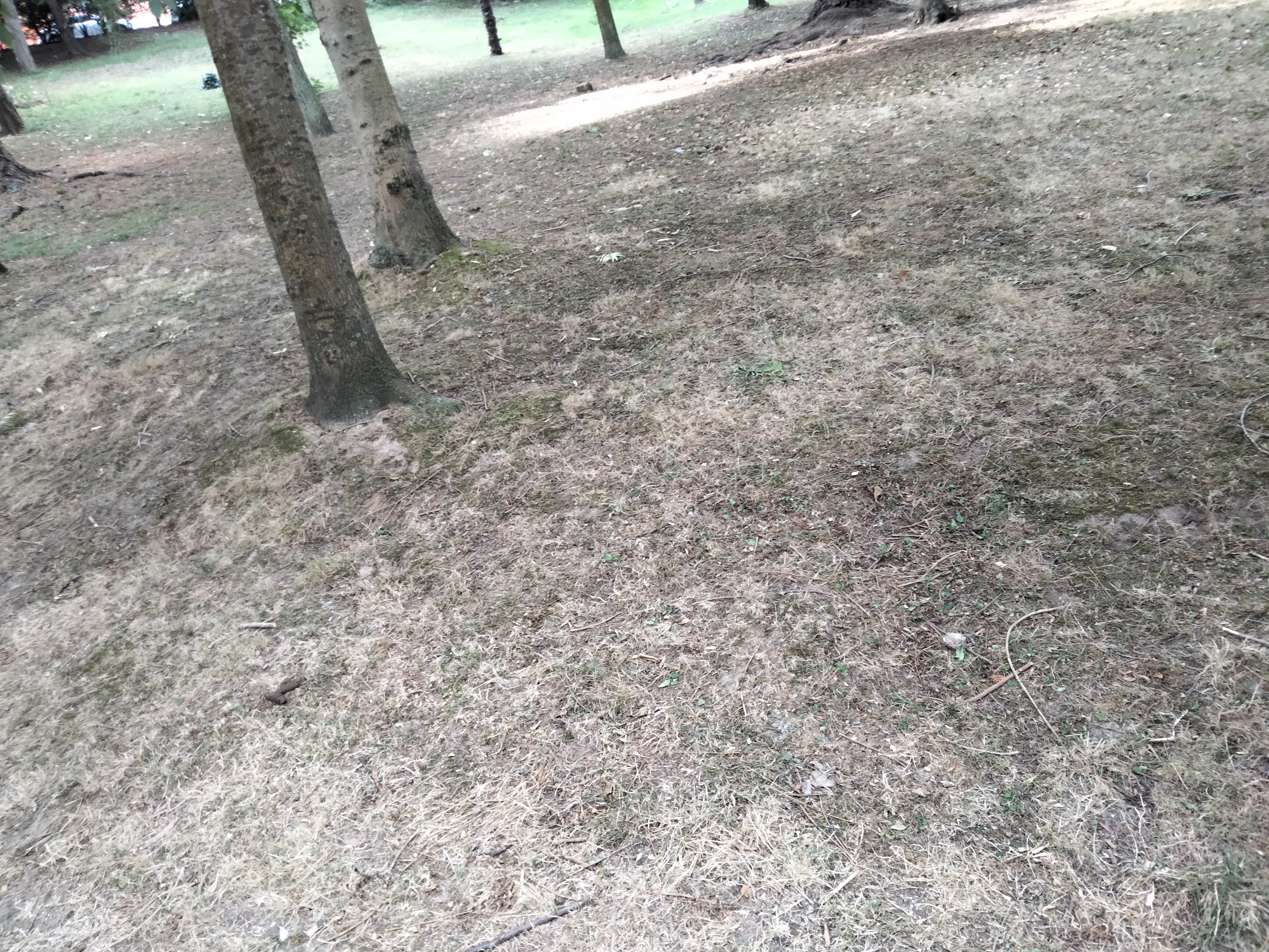 IMG20220816095446.jpg