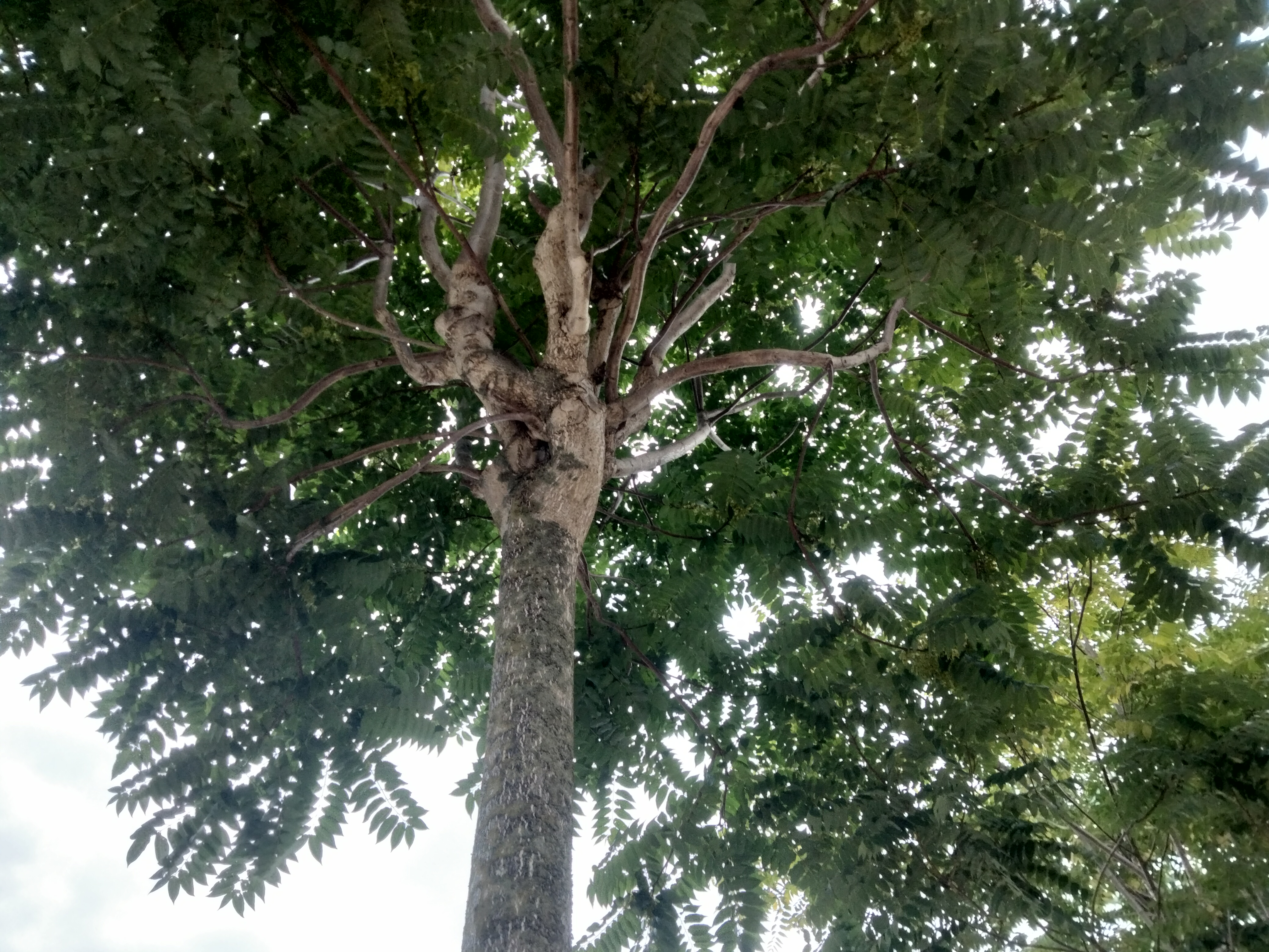 IMG20220816183913.jpg