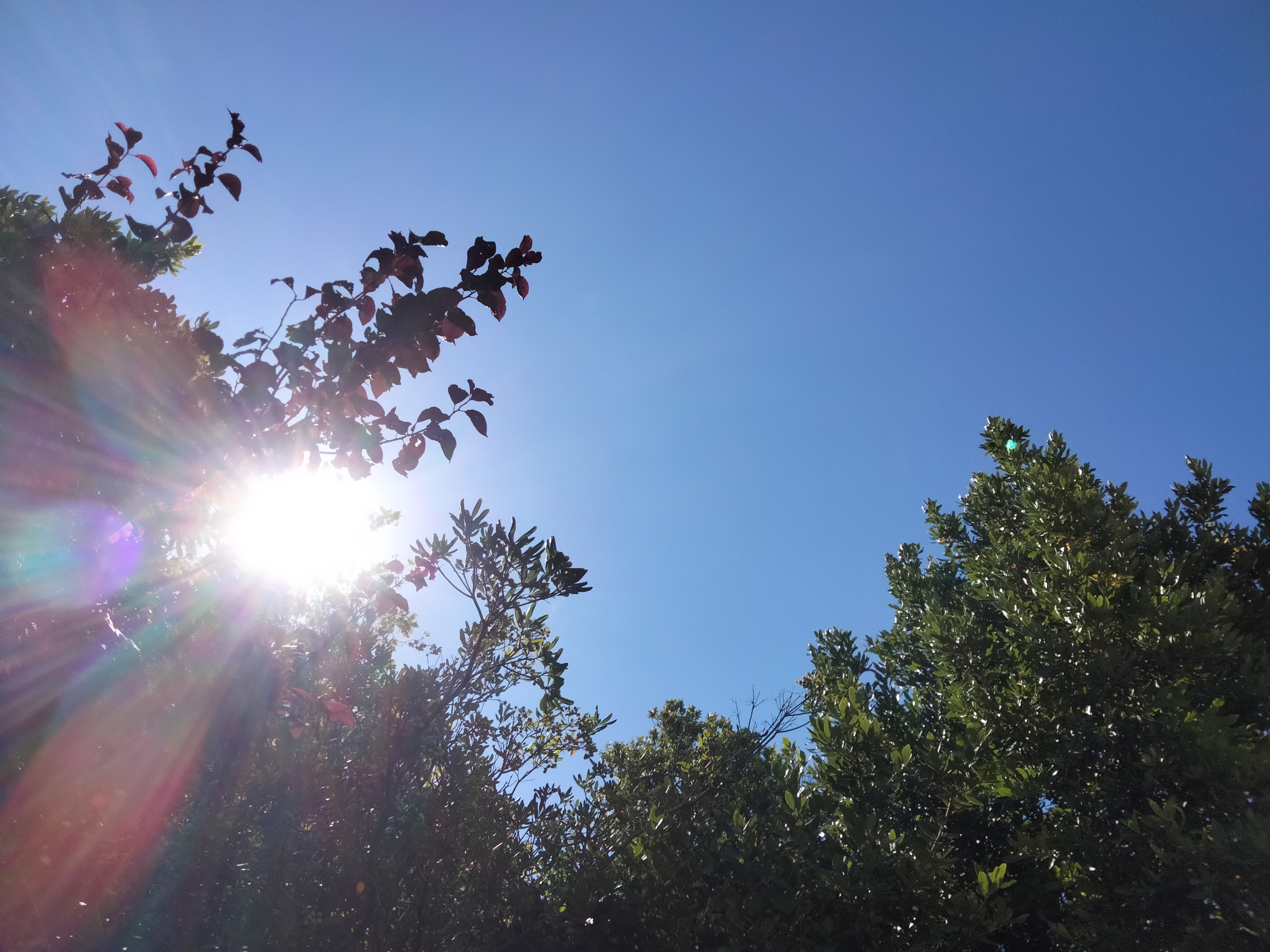 IMG20220820131322.jpg