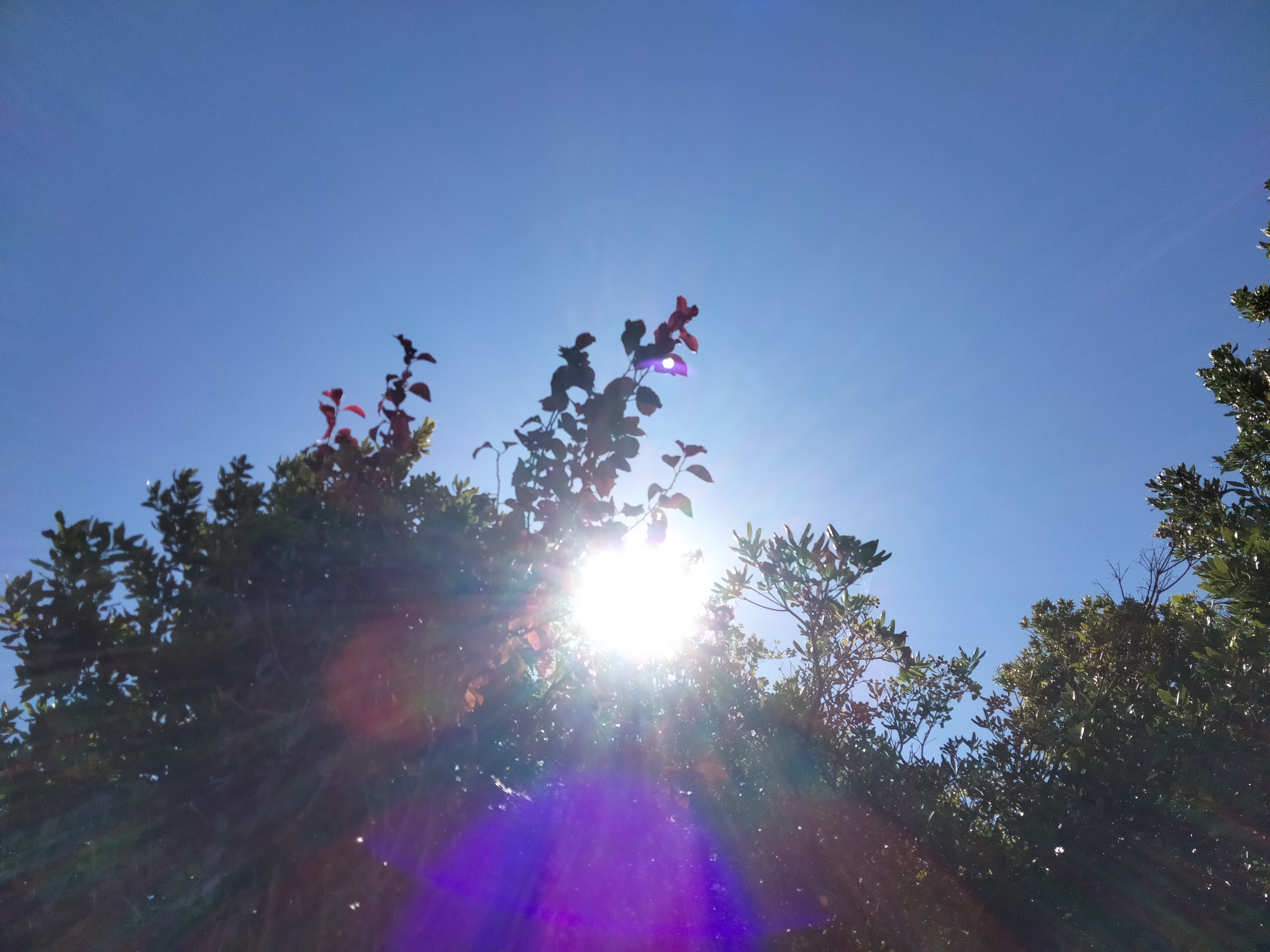 IMG20220820131324.jpg