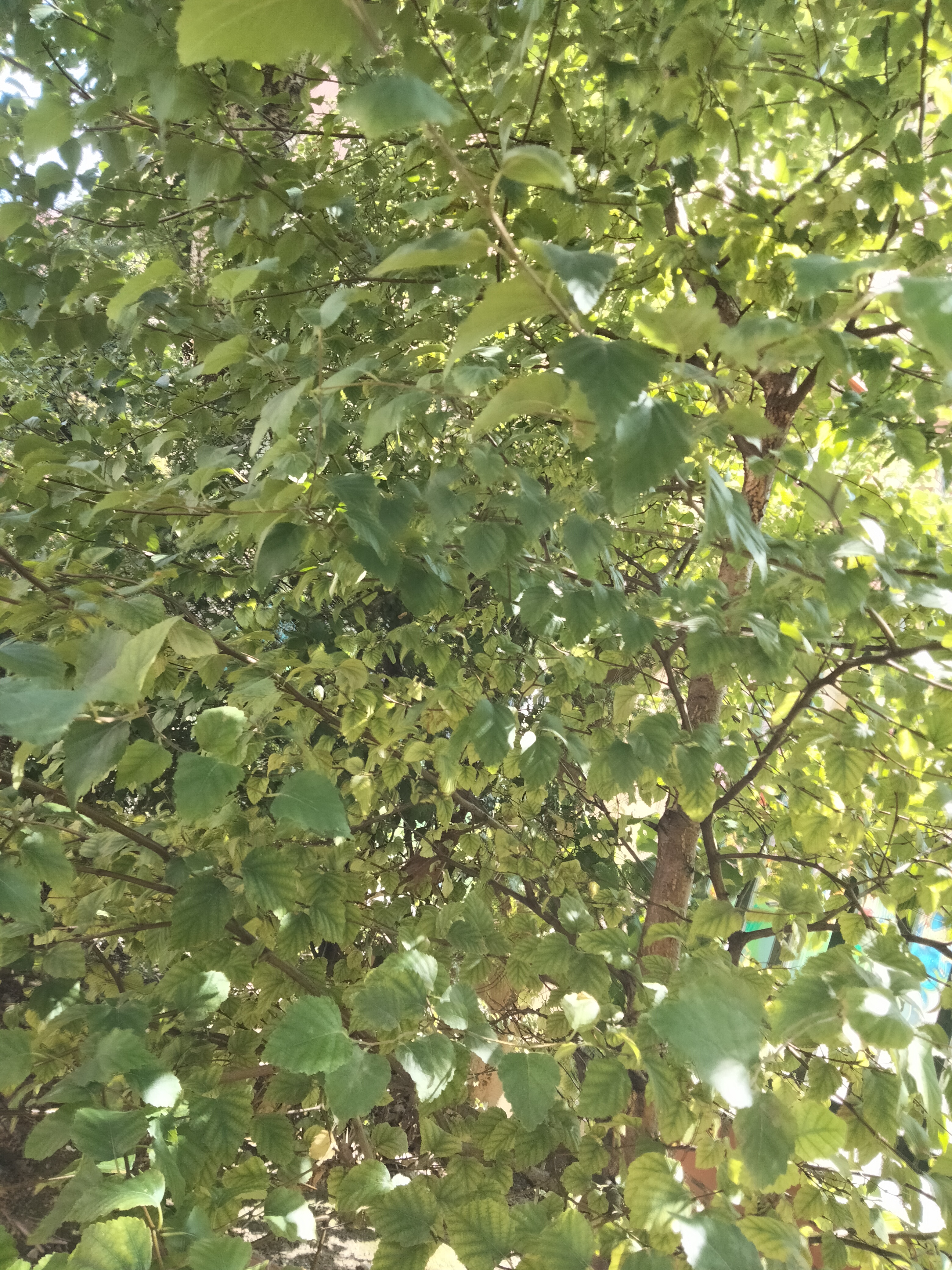 IMG20220827140236.jpg