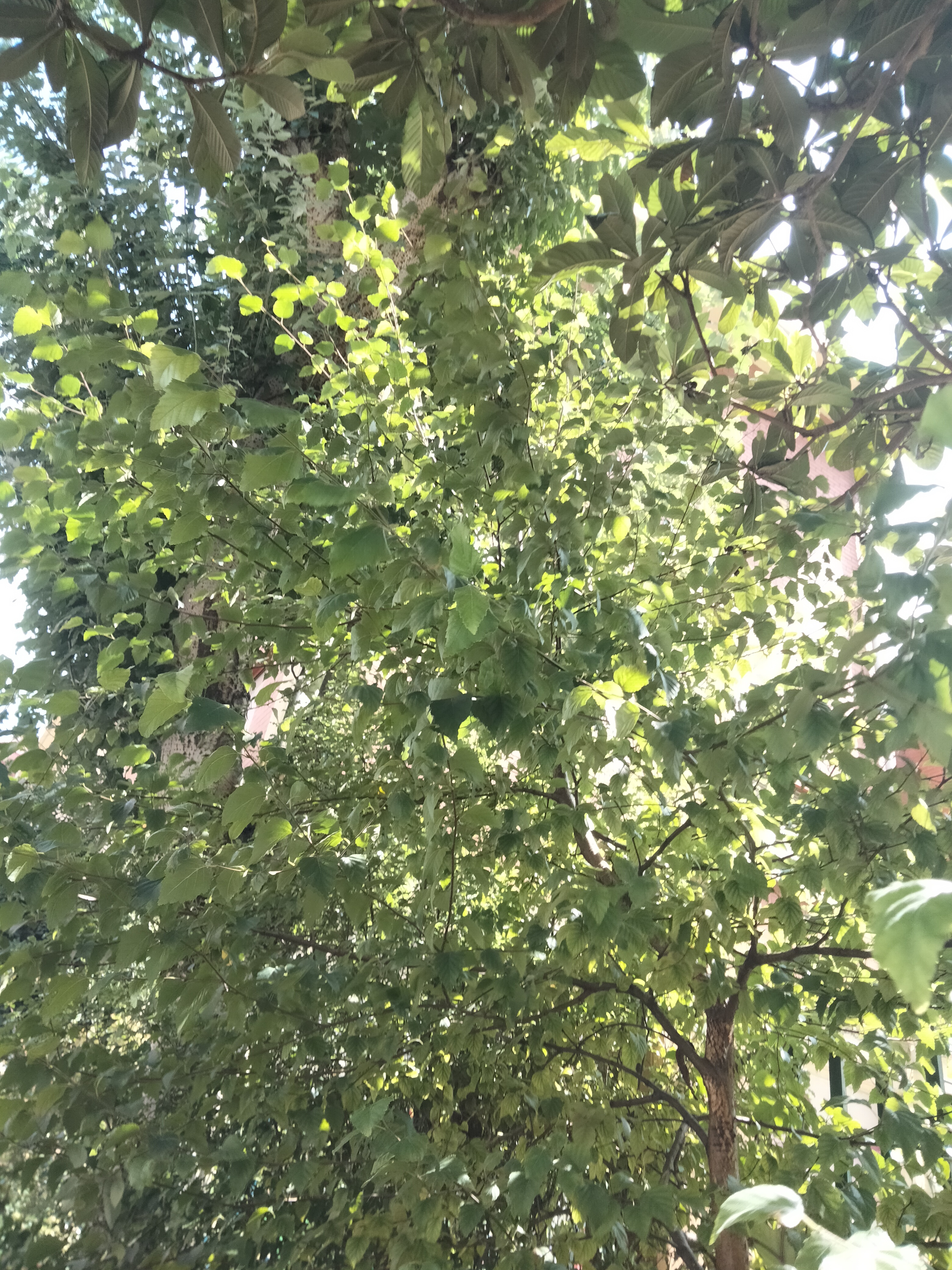 IMG20220827140249.jpg