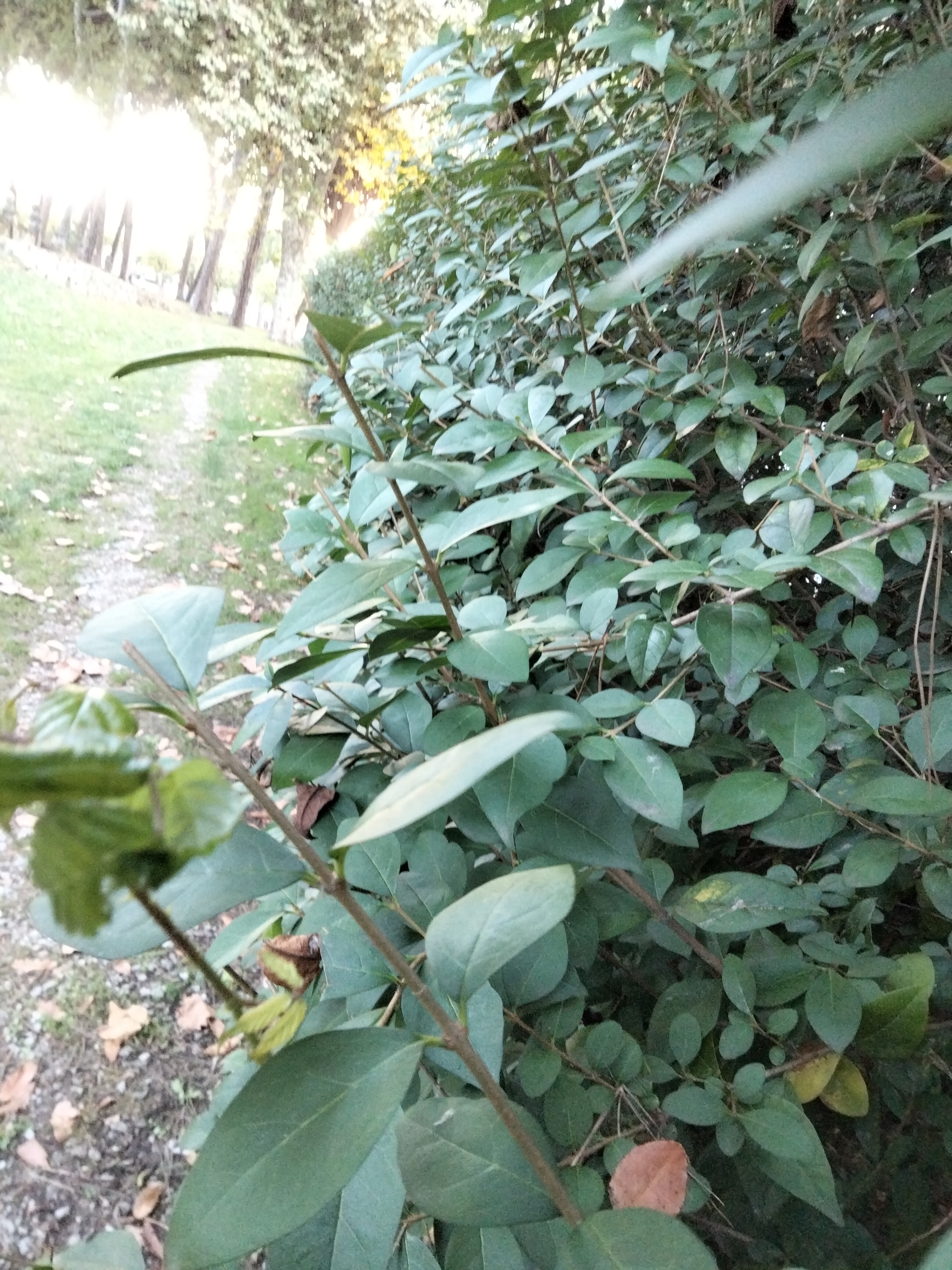 IMG20220827202835.jpg