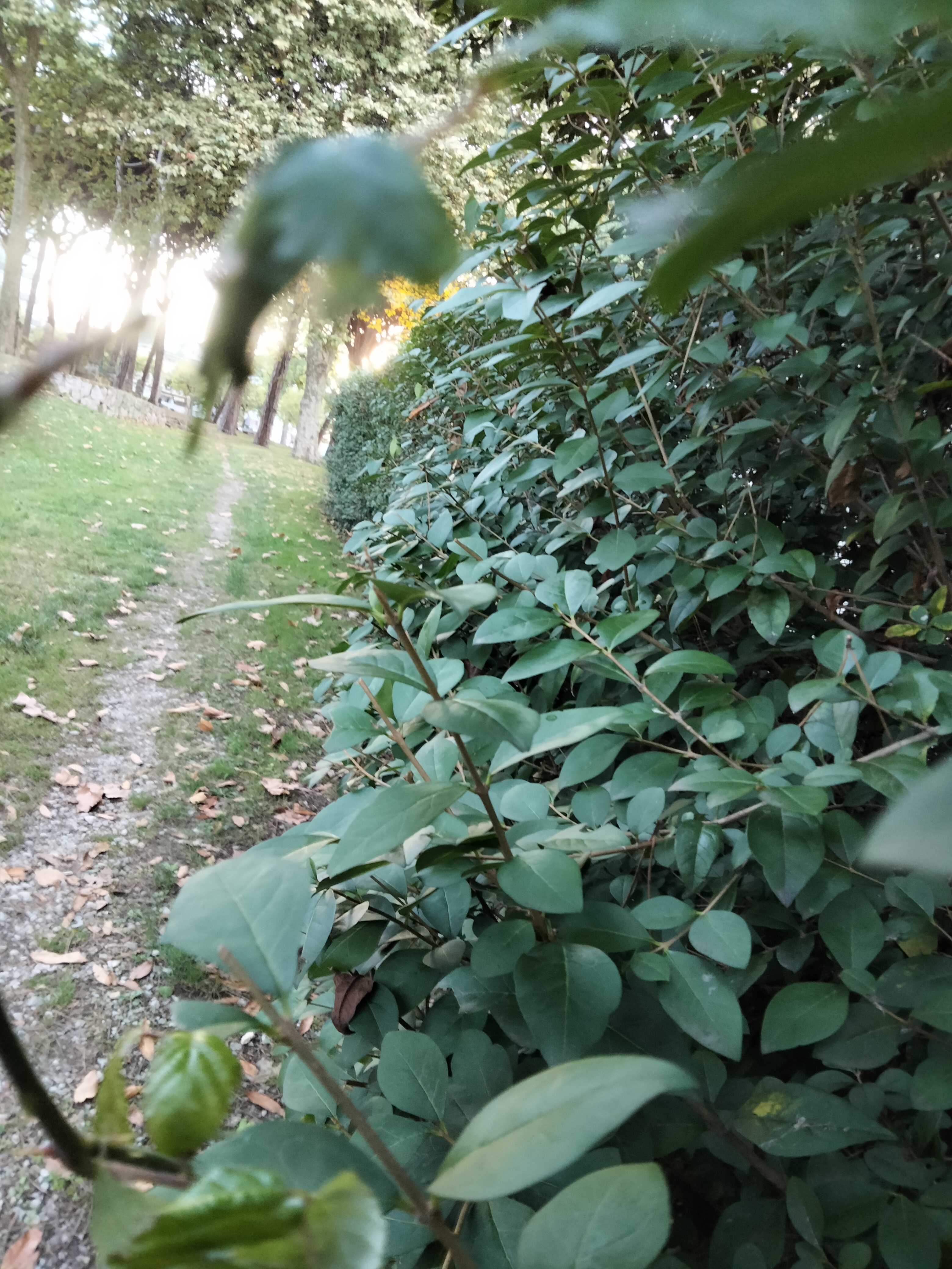 IMG20220827202839.jpg