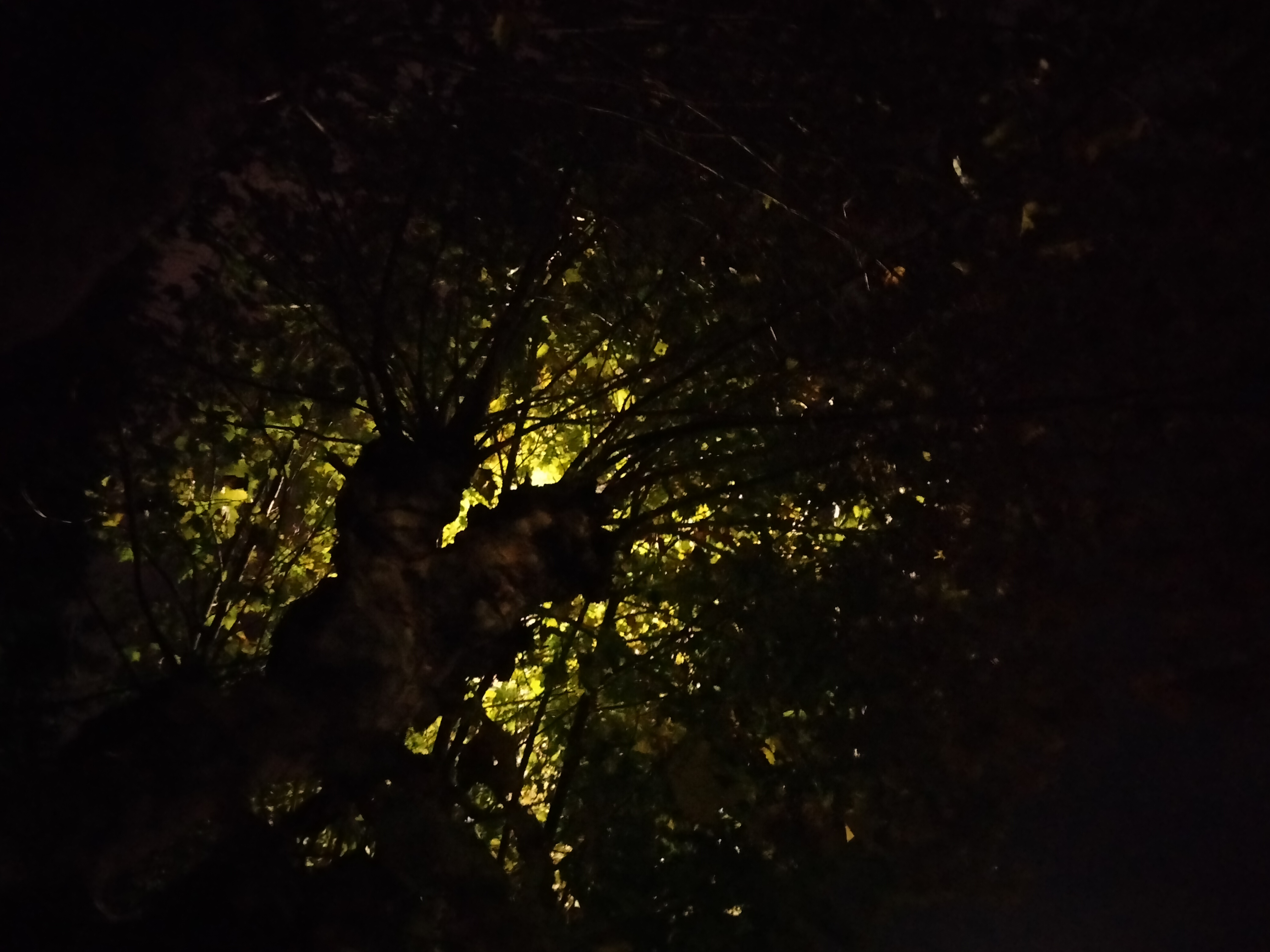 IMG20221006210153.jpg