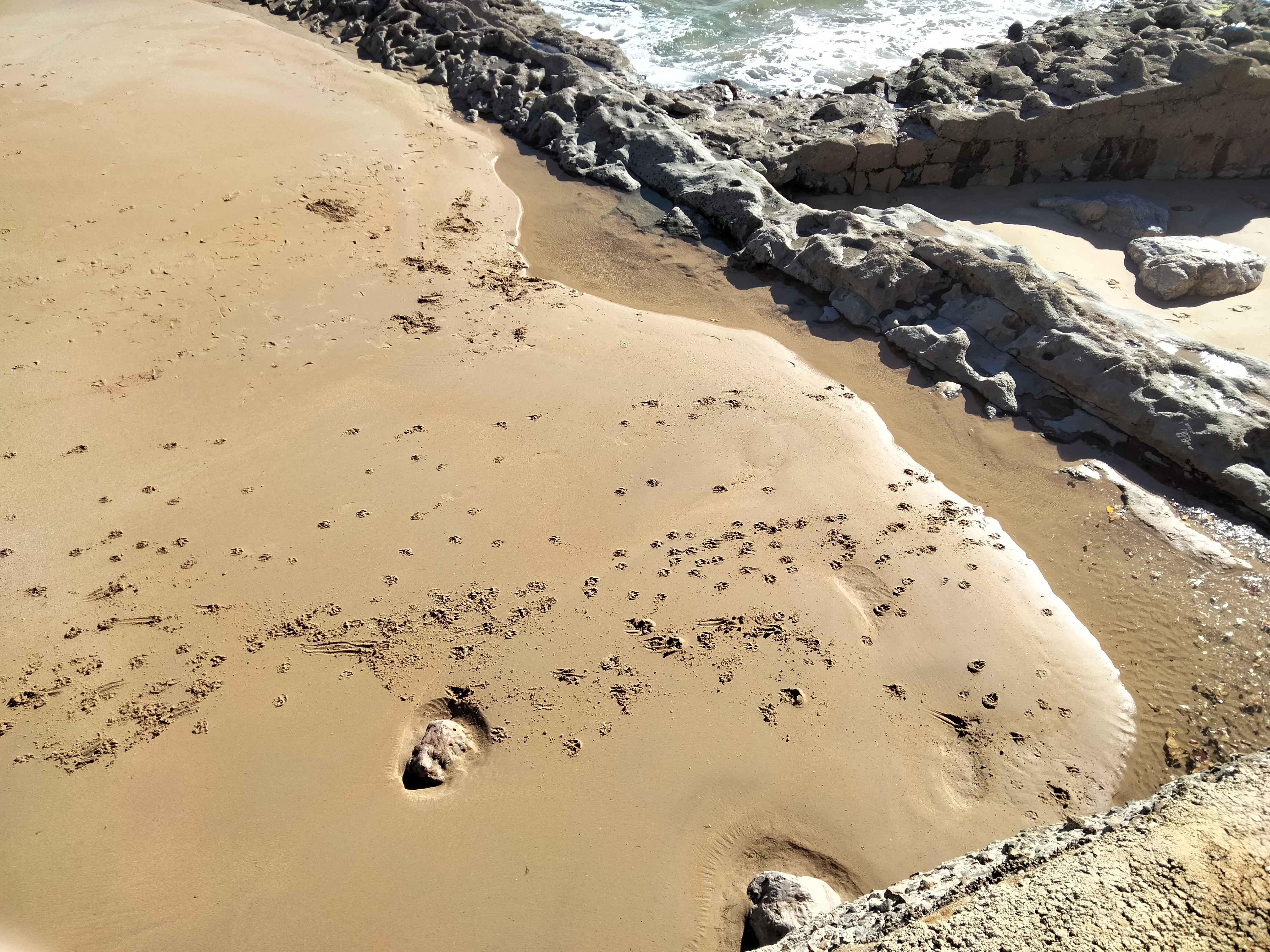 IMG20221023120132.jpg