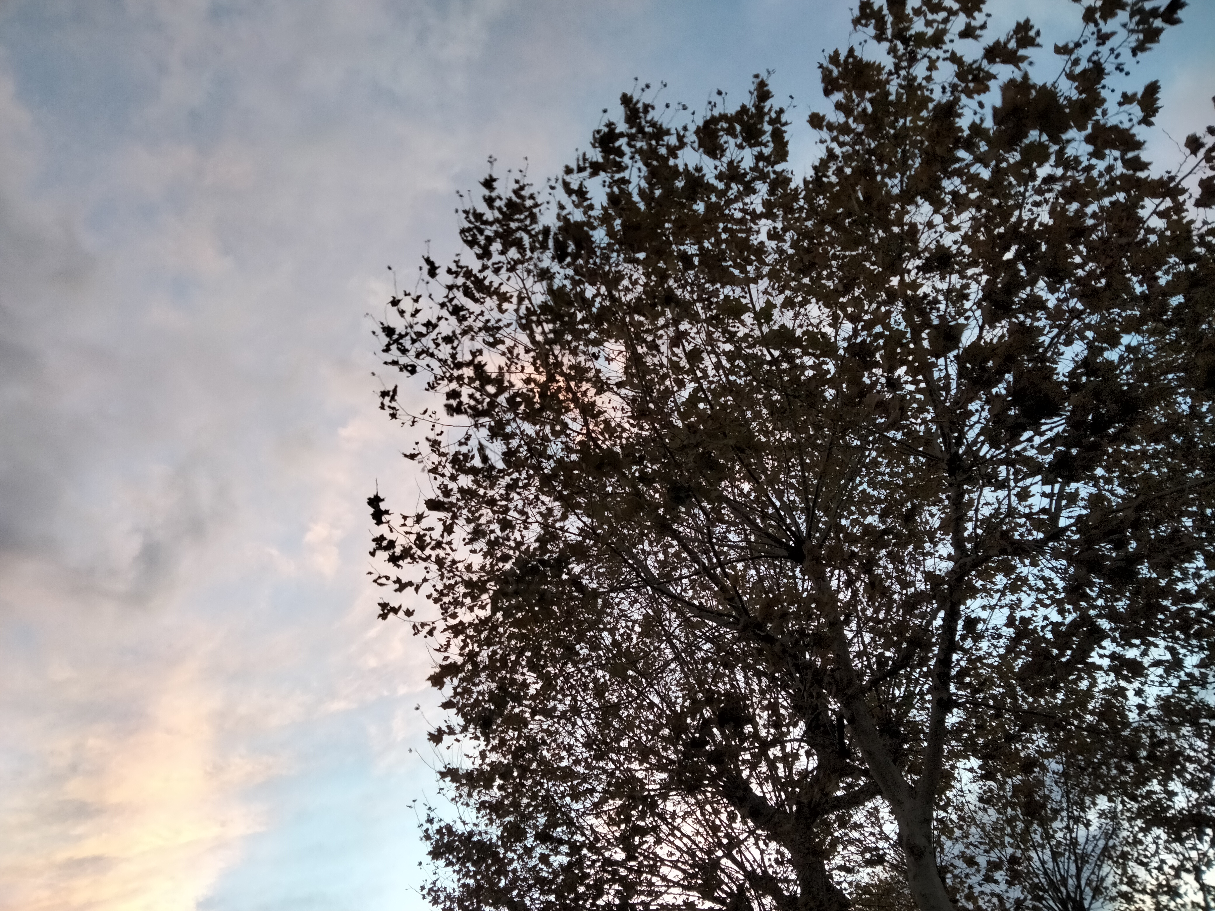IMG20221023192252.jpg