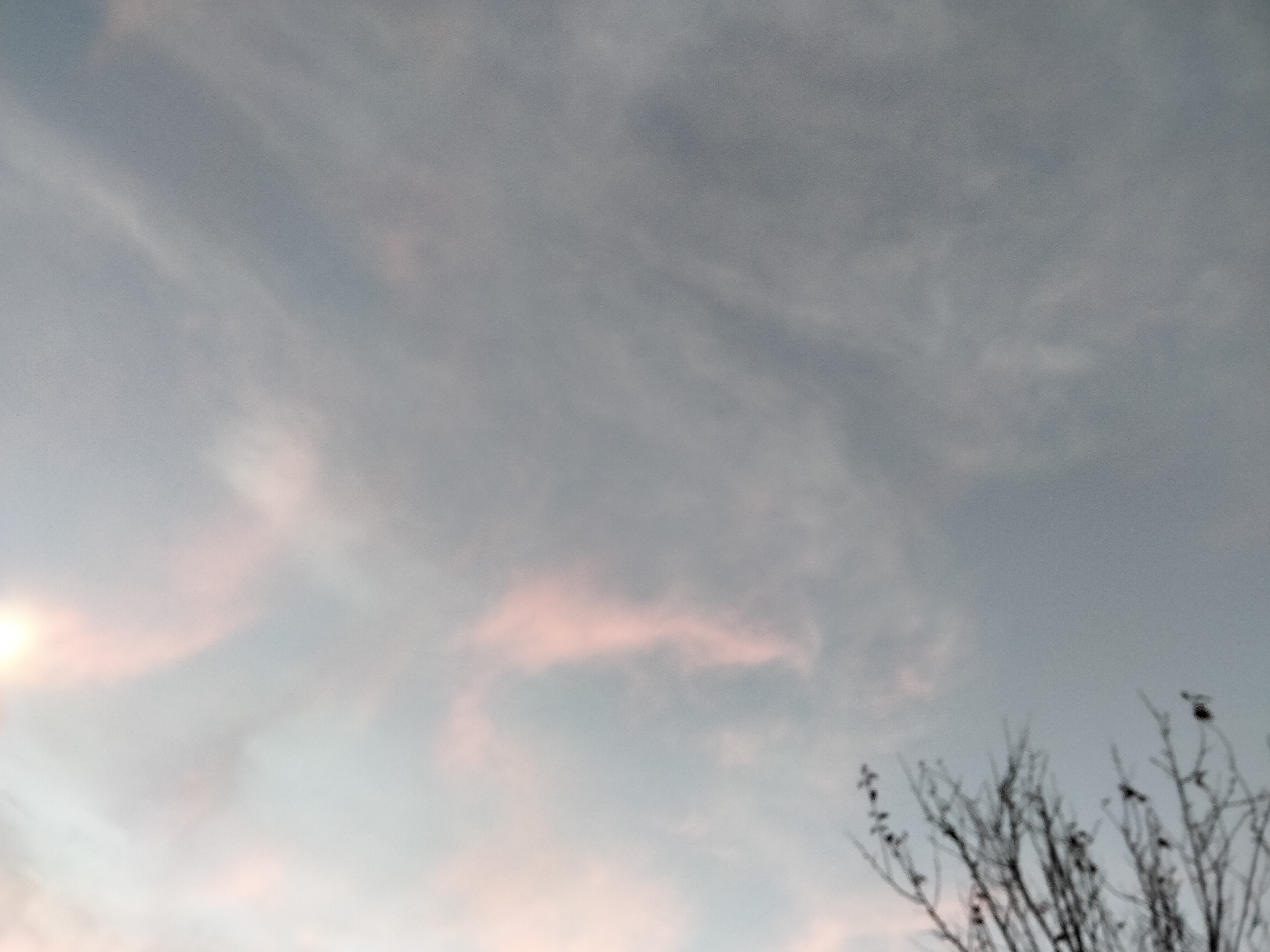 IMG20221111180757.jpg