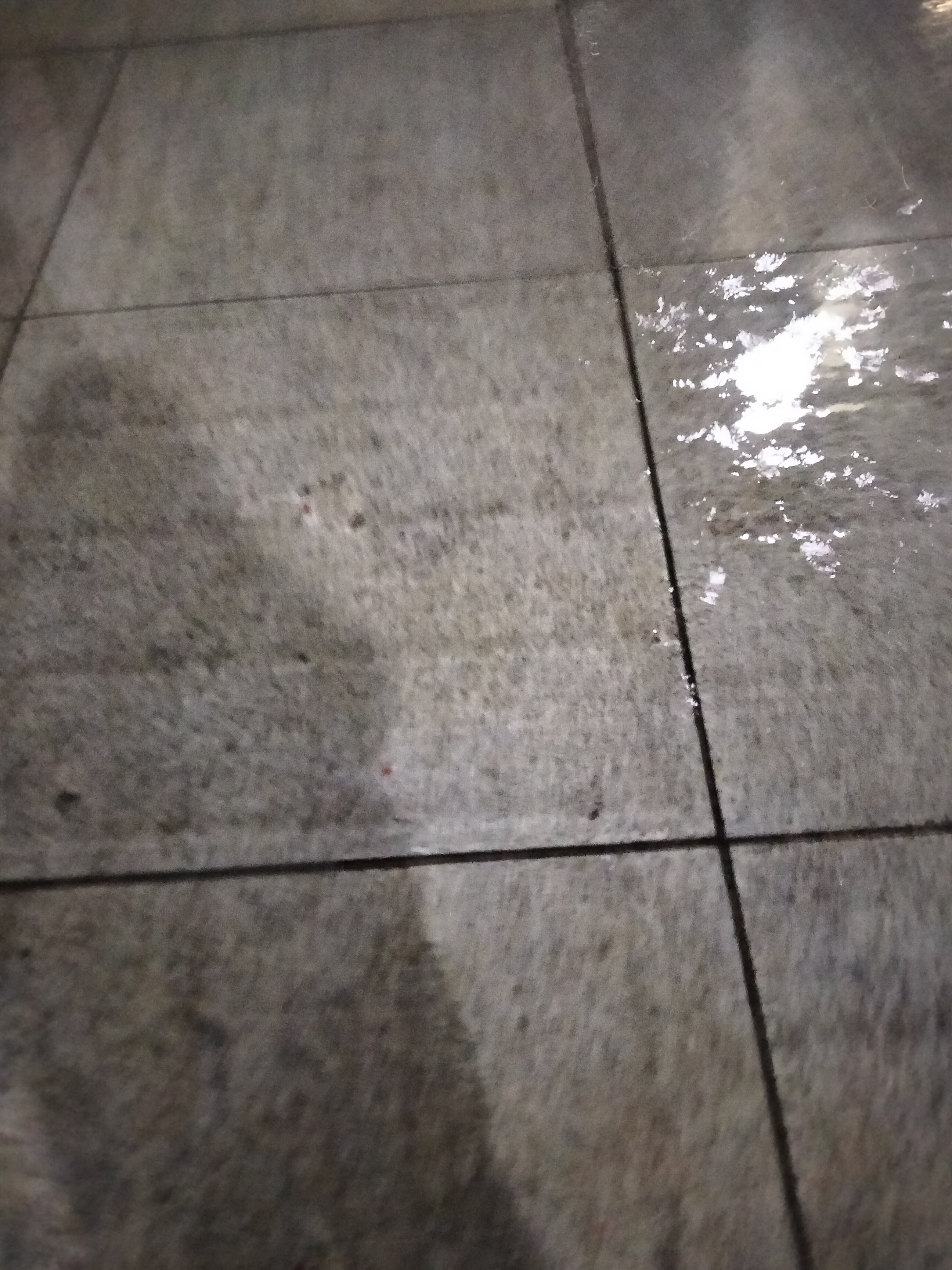 IMG20221118192311.jpg