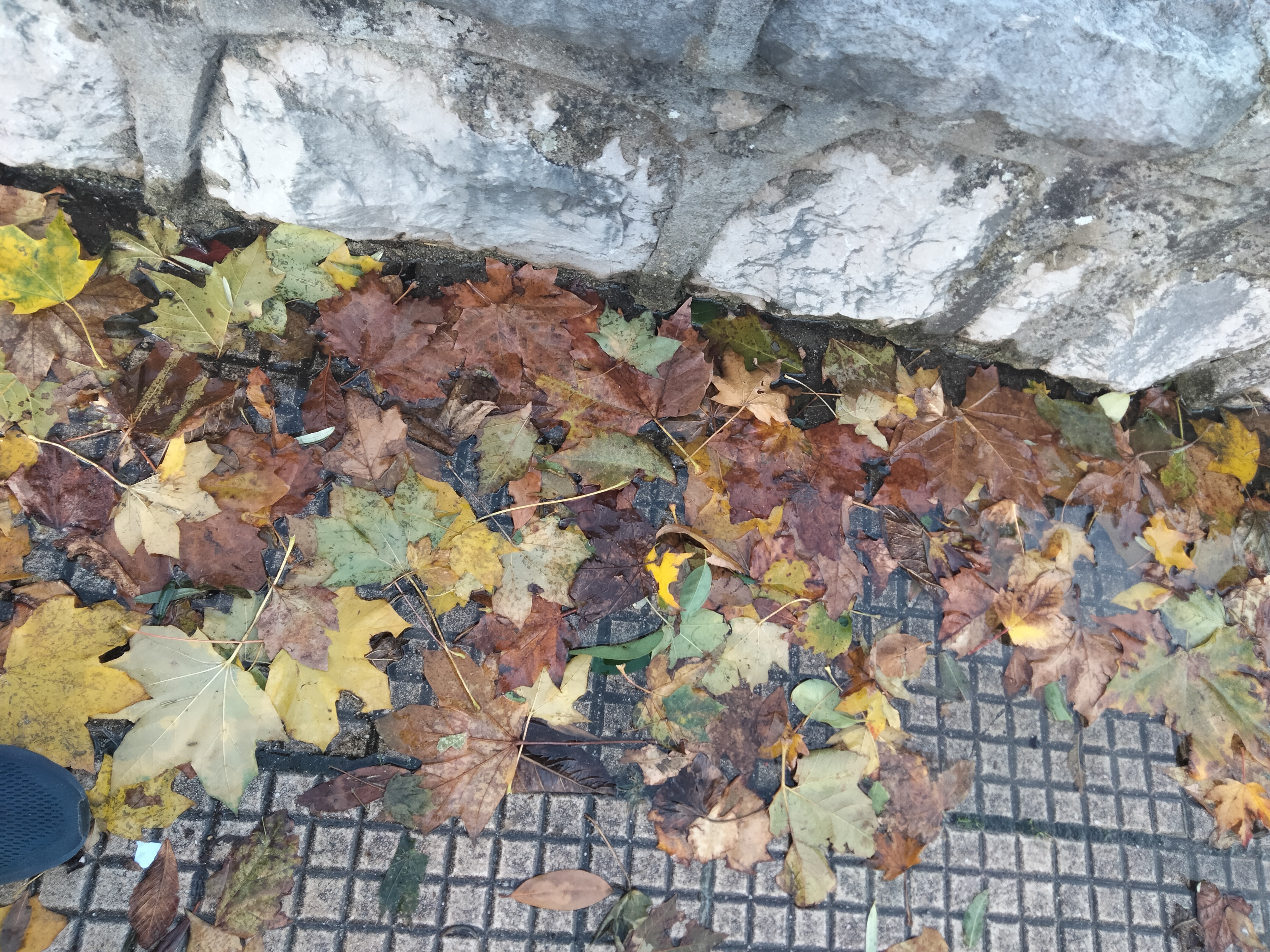 IMG20221123142406.jpg