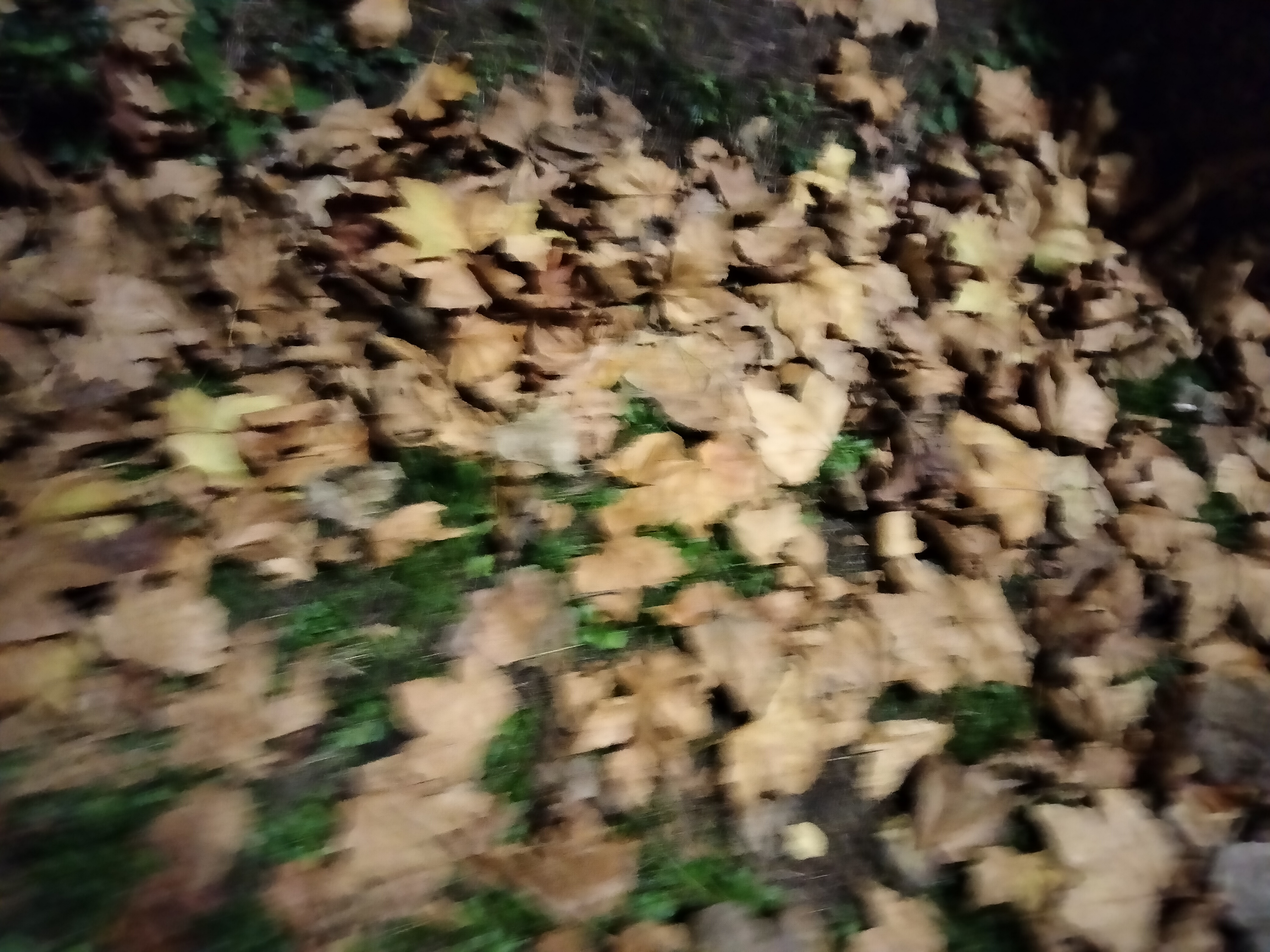 IMG20221218194334.jpg