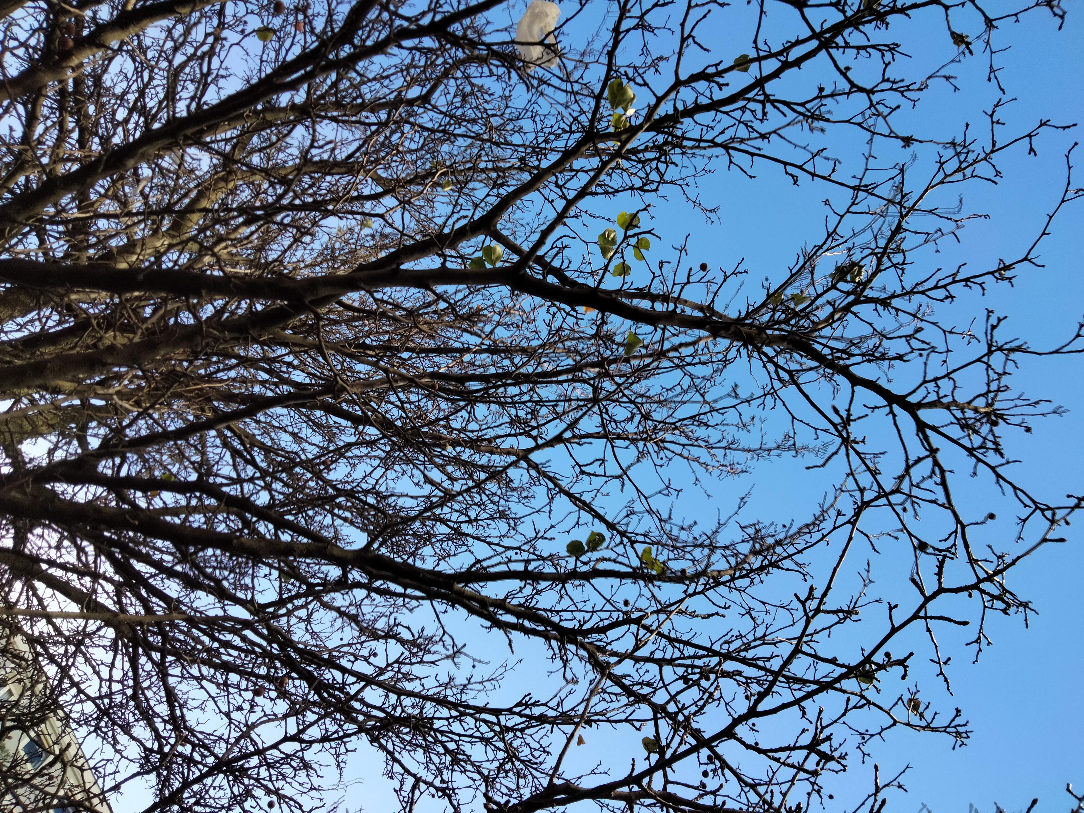 IMG20230115140457.jpg