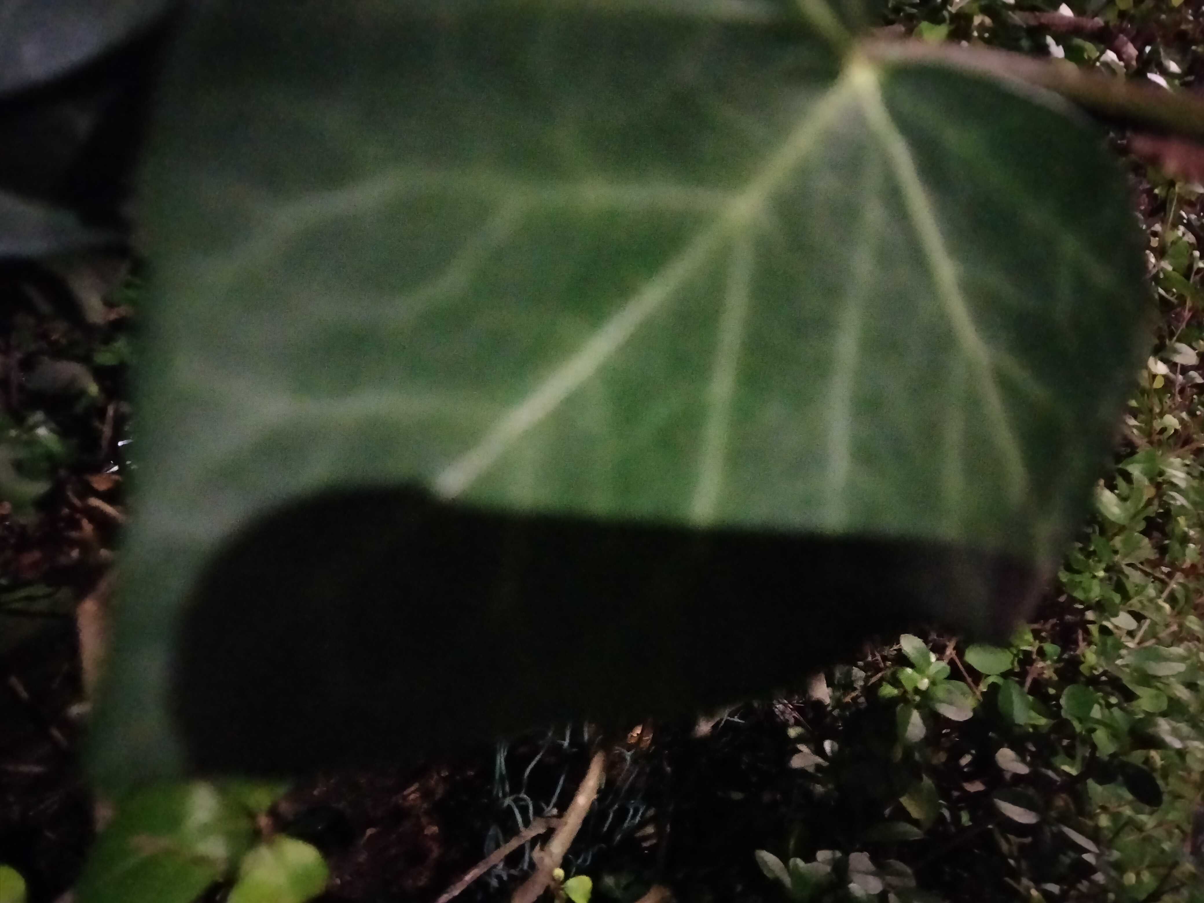 IMG20230120195146.jpg