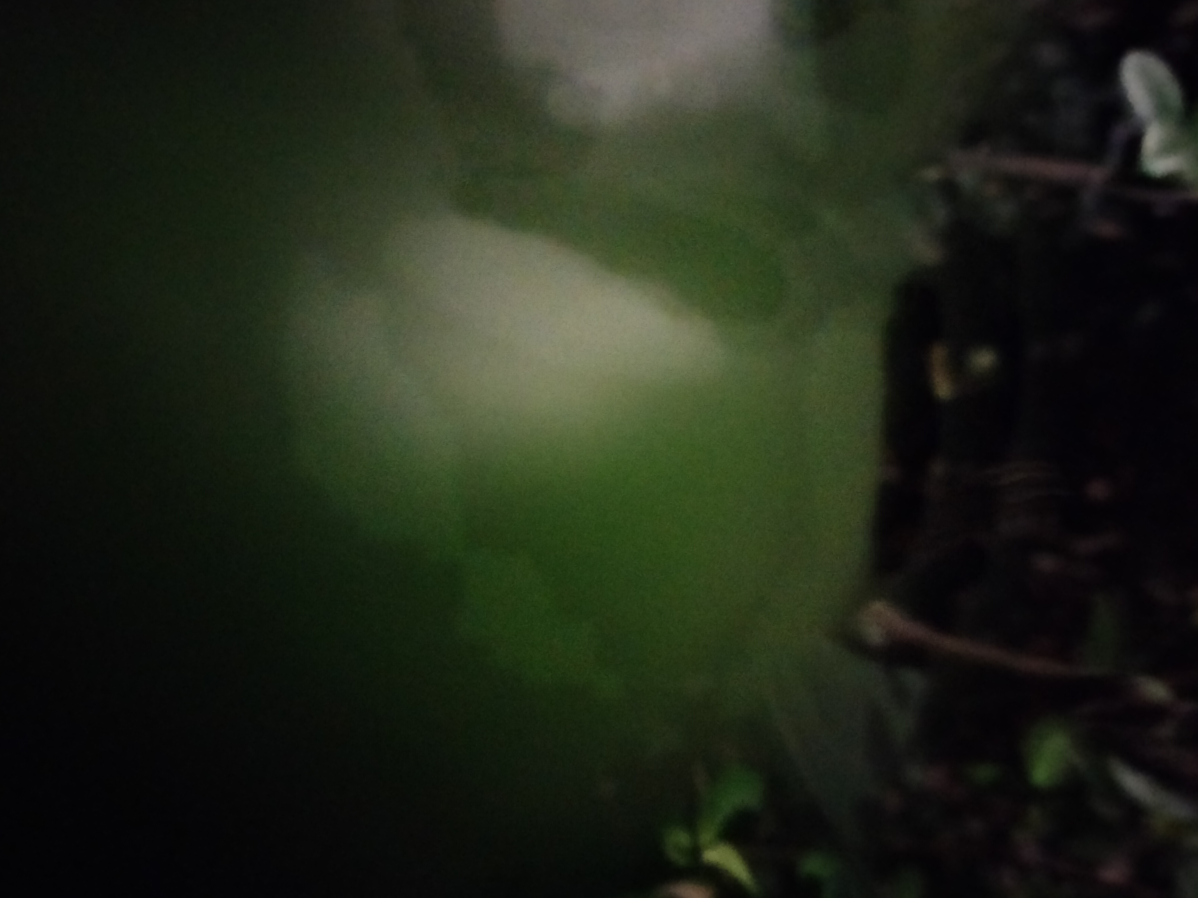 IMG20230120195154.jpg
