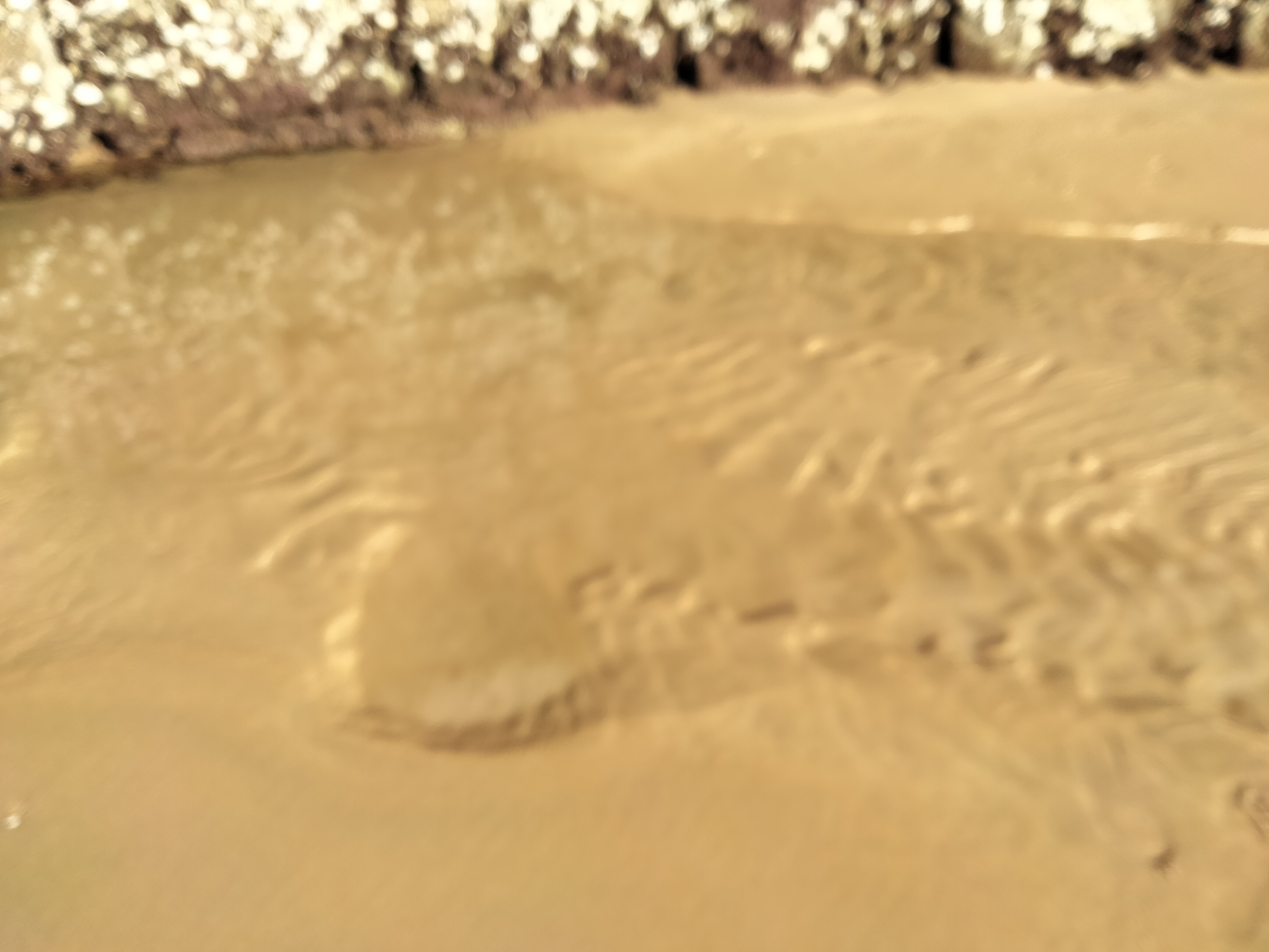 IMG20230121105822.jpg