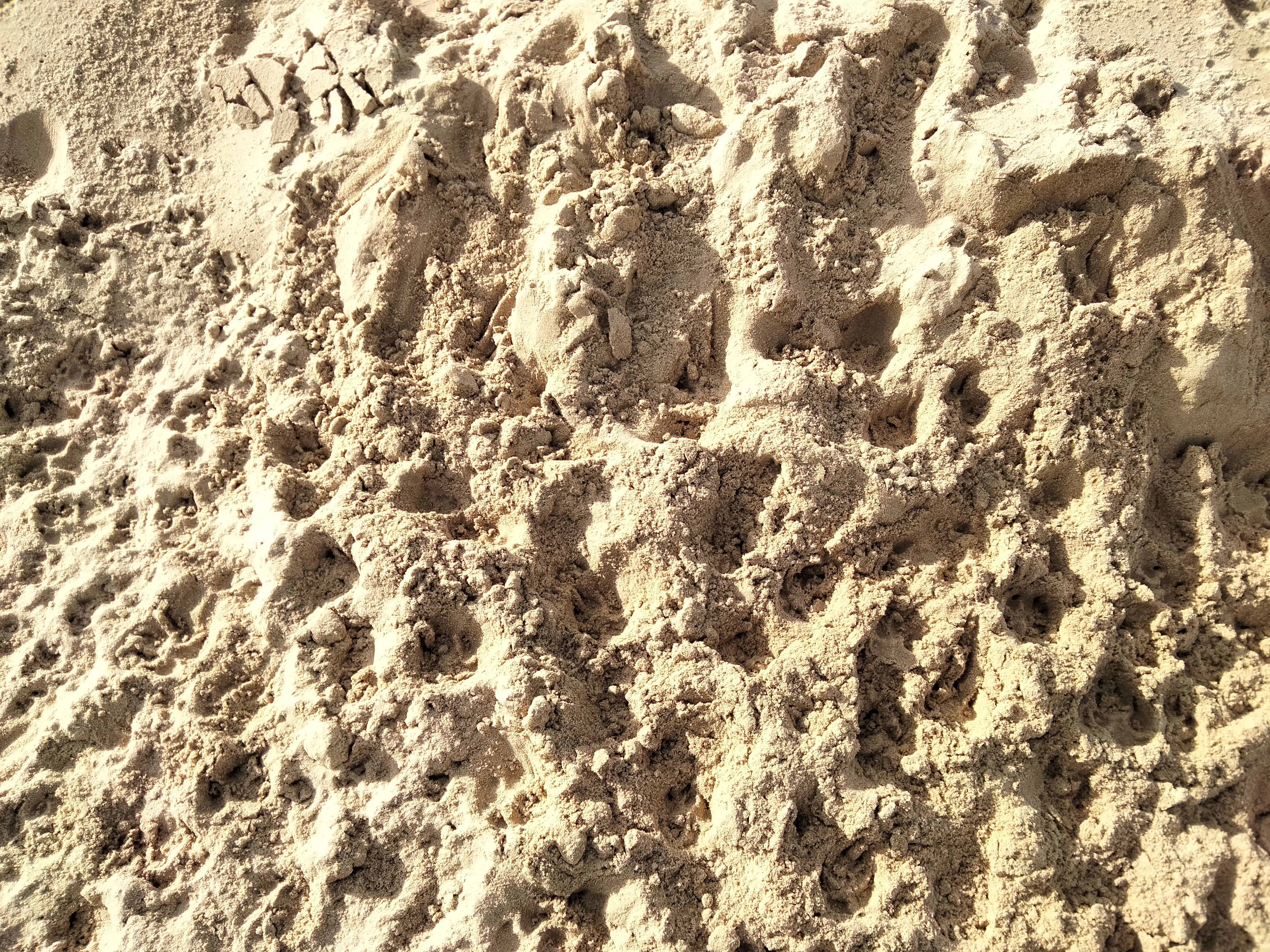 IMG20230122125255.jpg