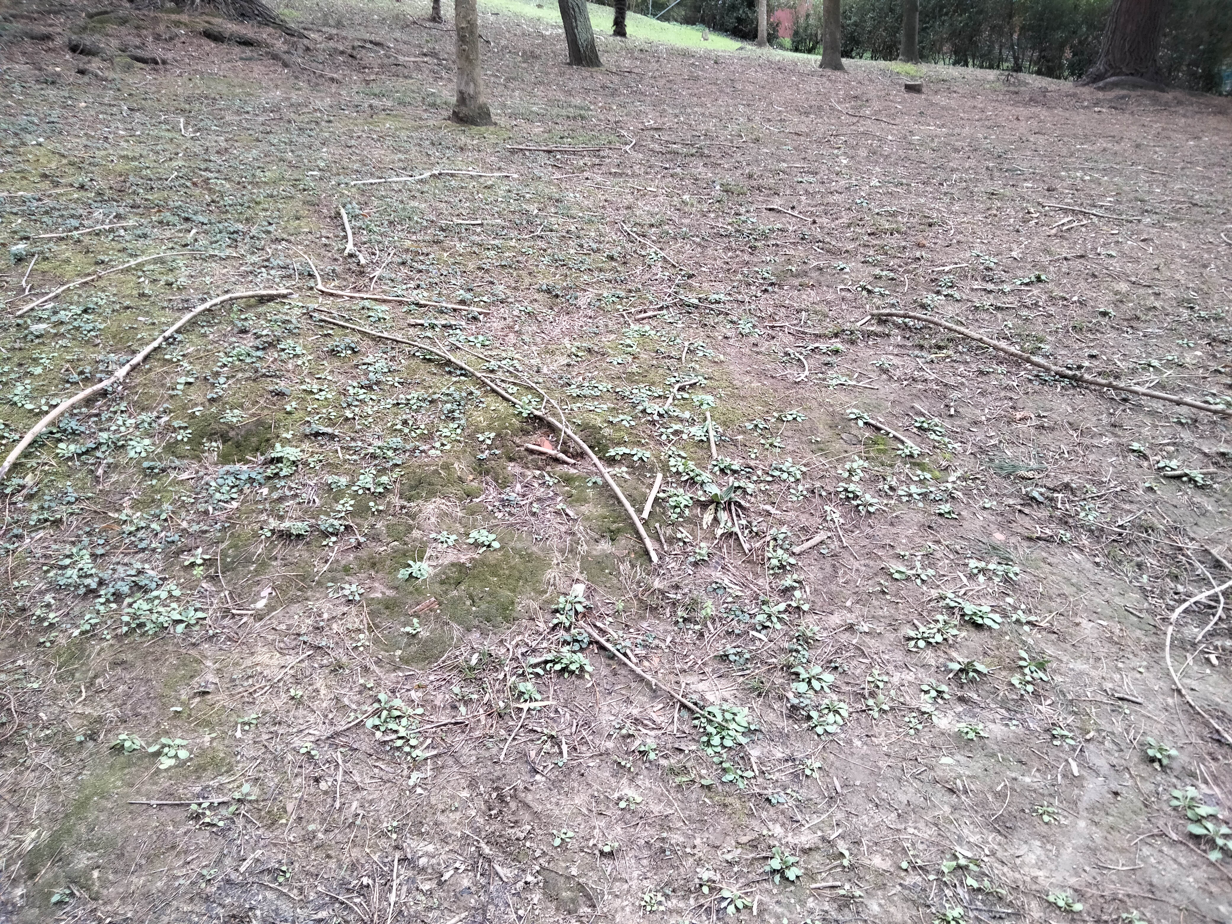 IMG20230205145011.jpg