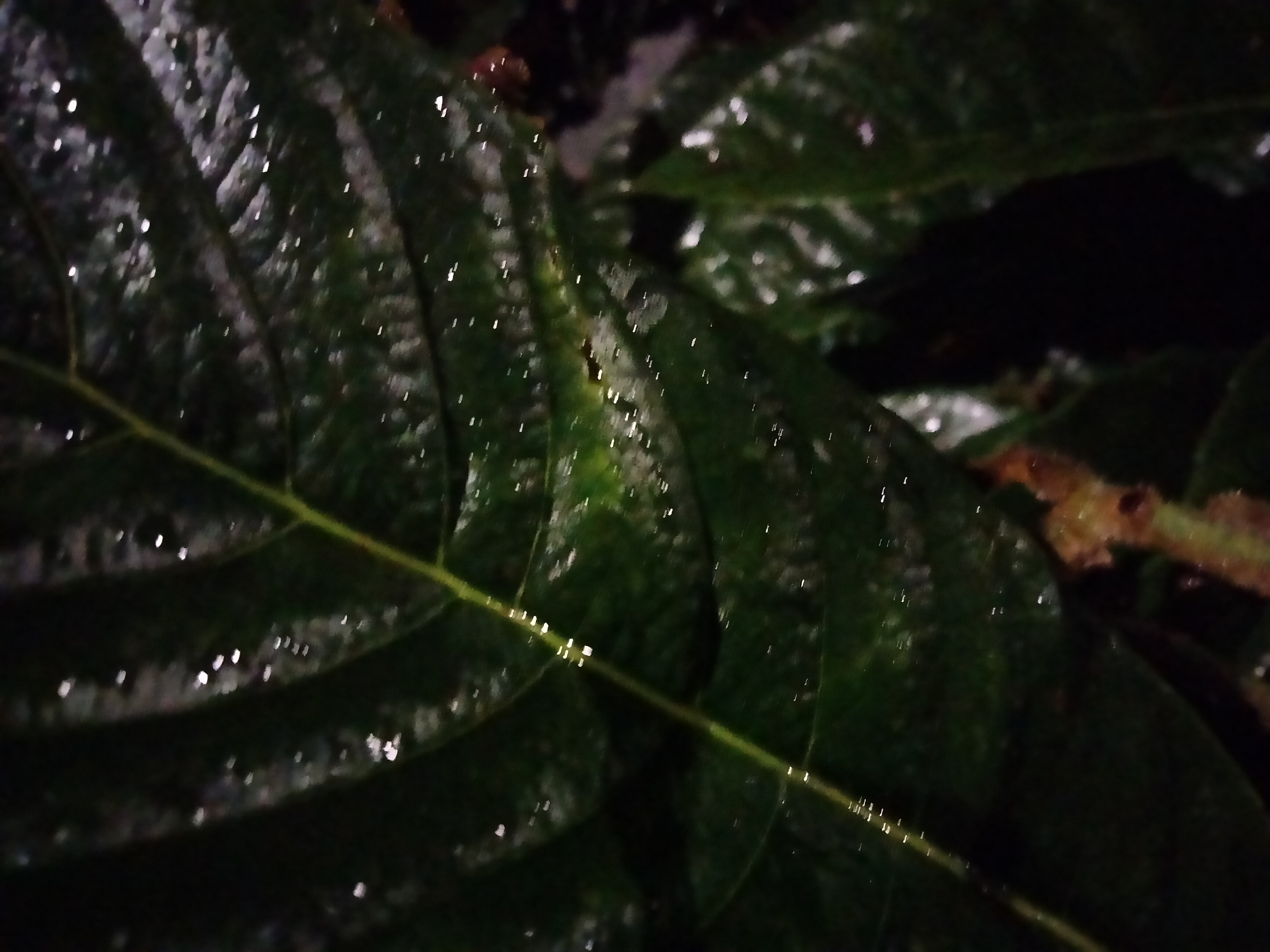 IMG20230222202525.jpg