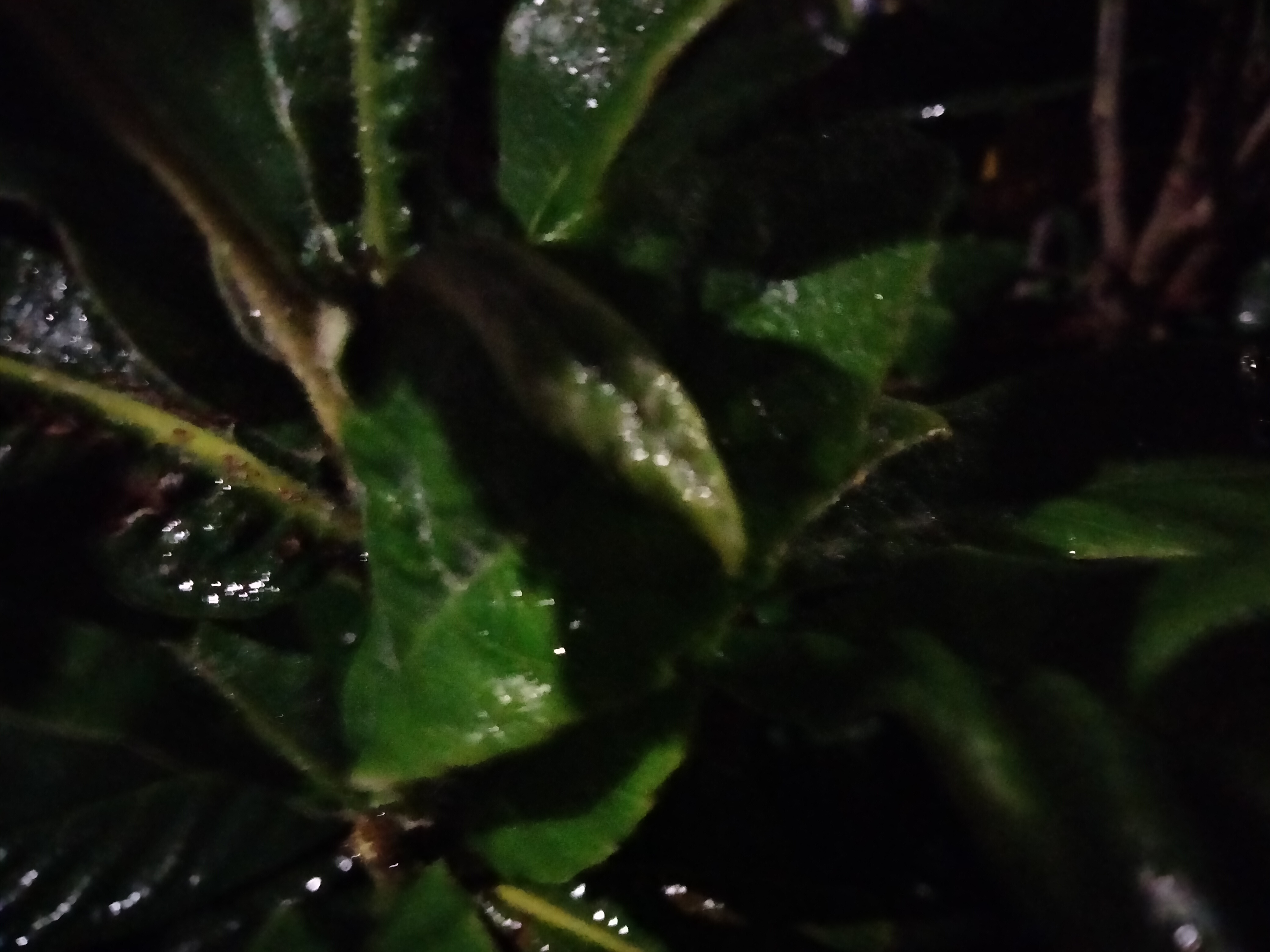 IMG20230222202530.jpg