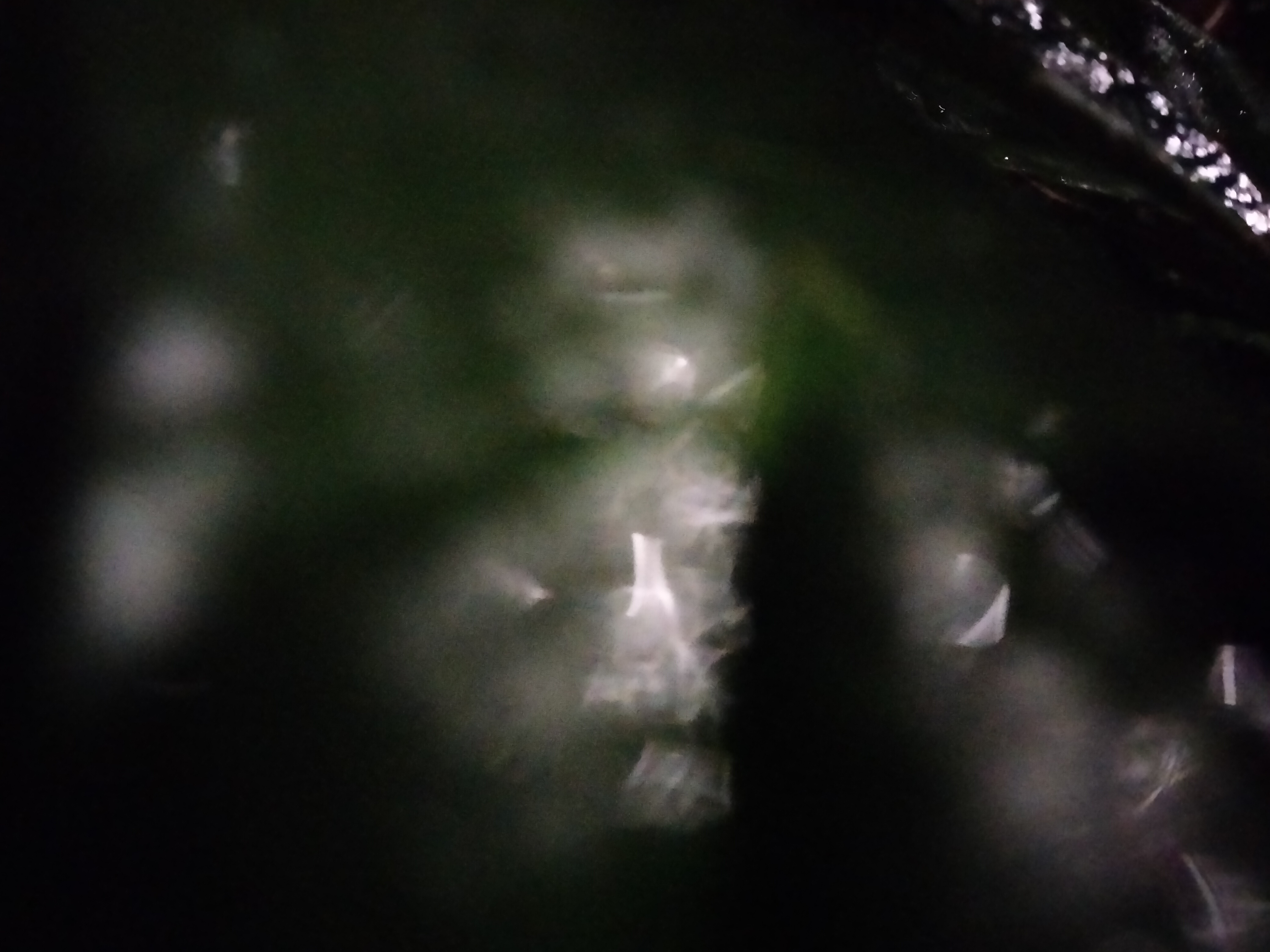 IMG20230222202535.jpg