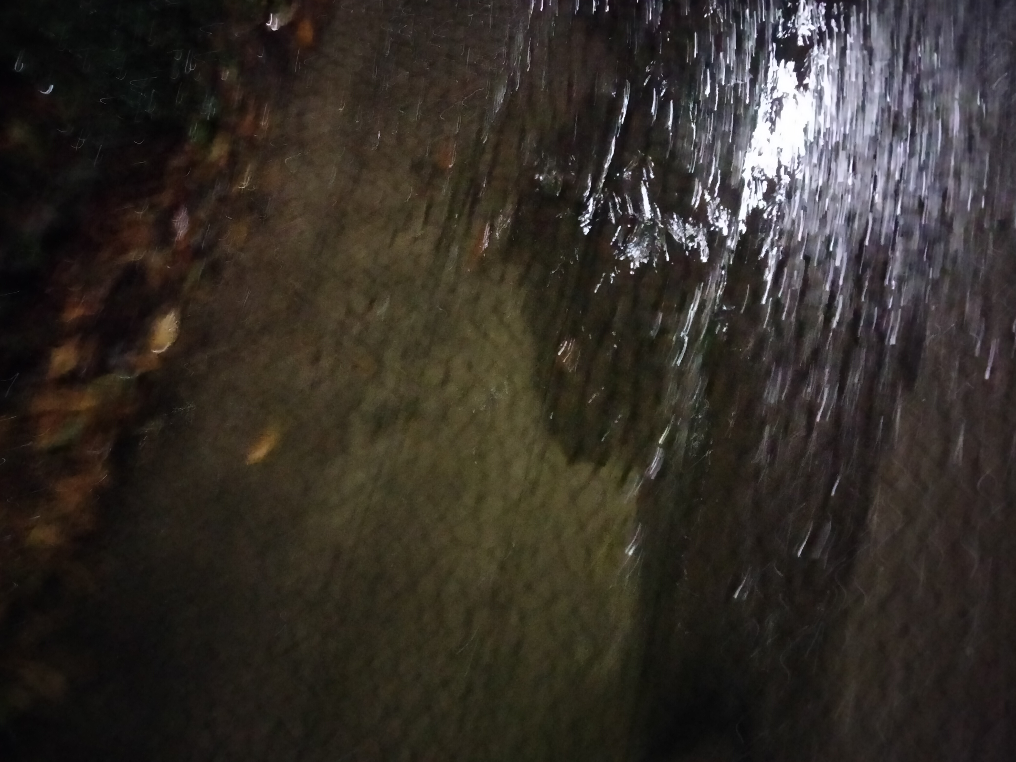 IMG20230222202543.jpg