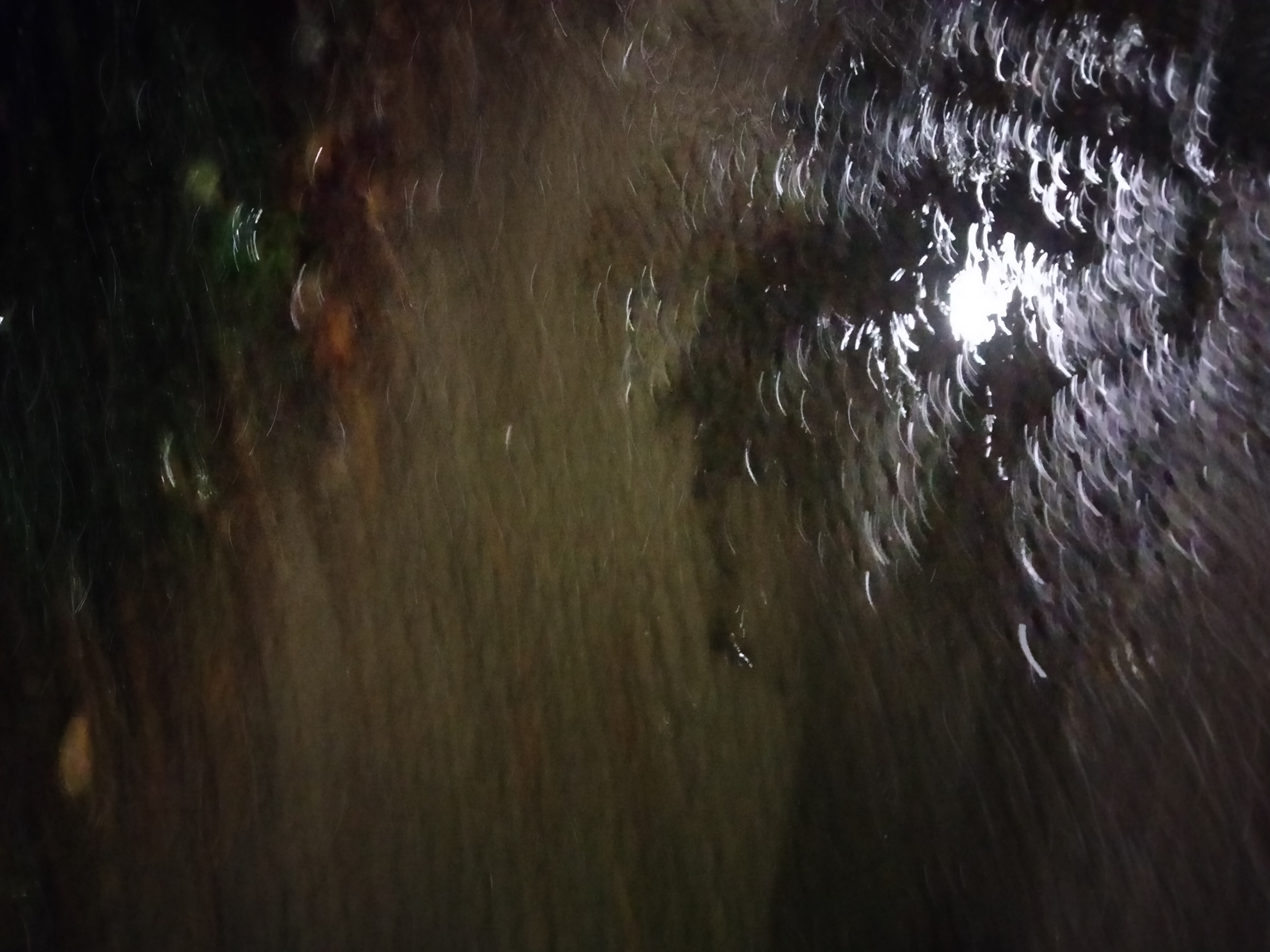 IMG20230222202545.jpg
