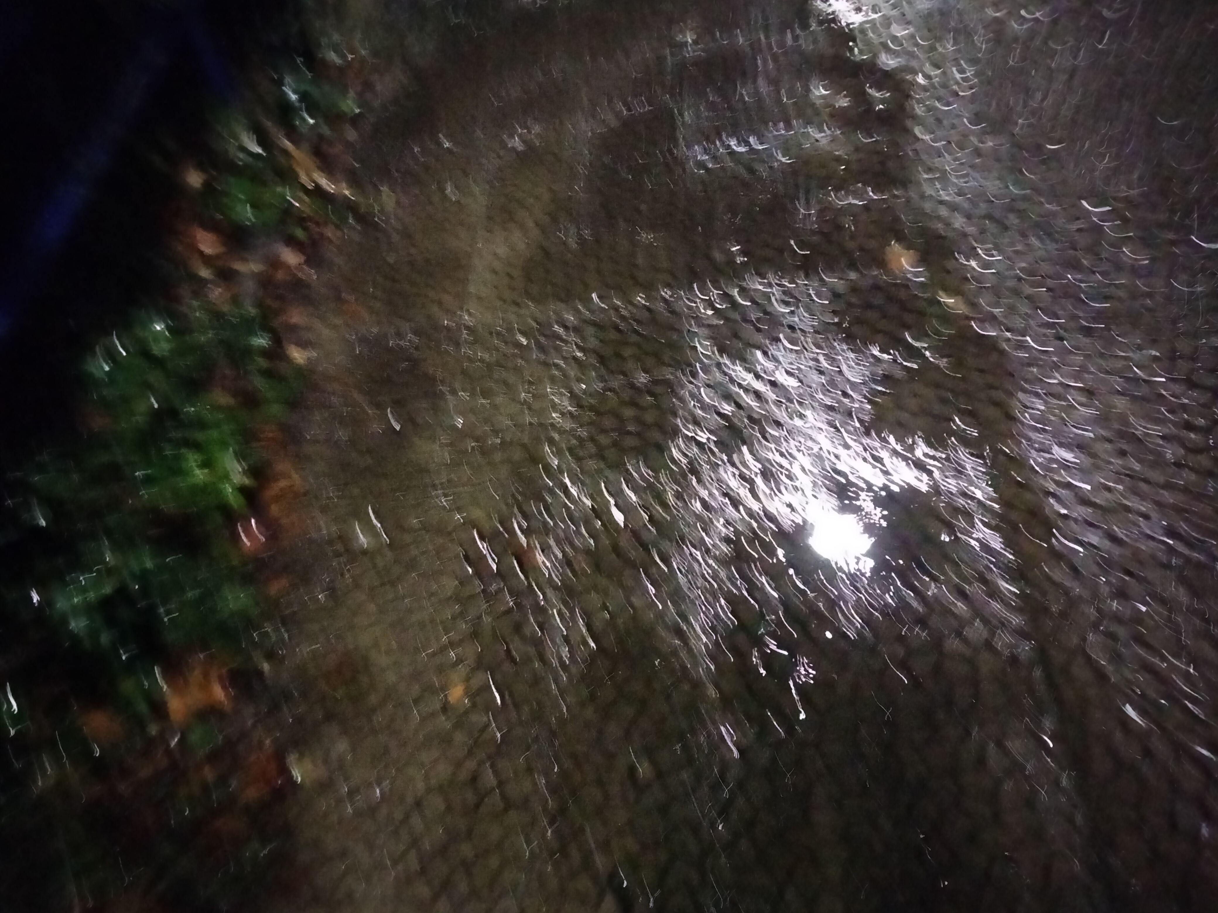 IMG20230222202546.jpg