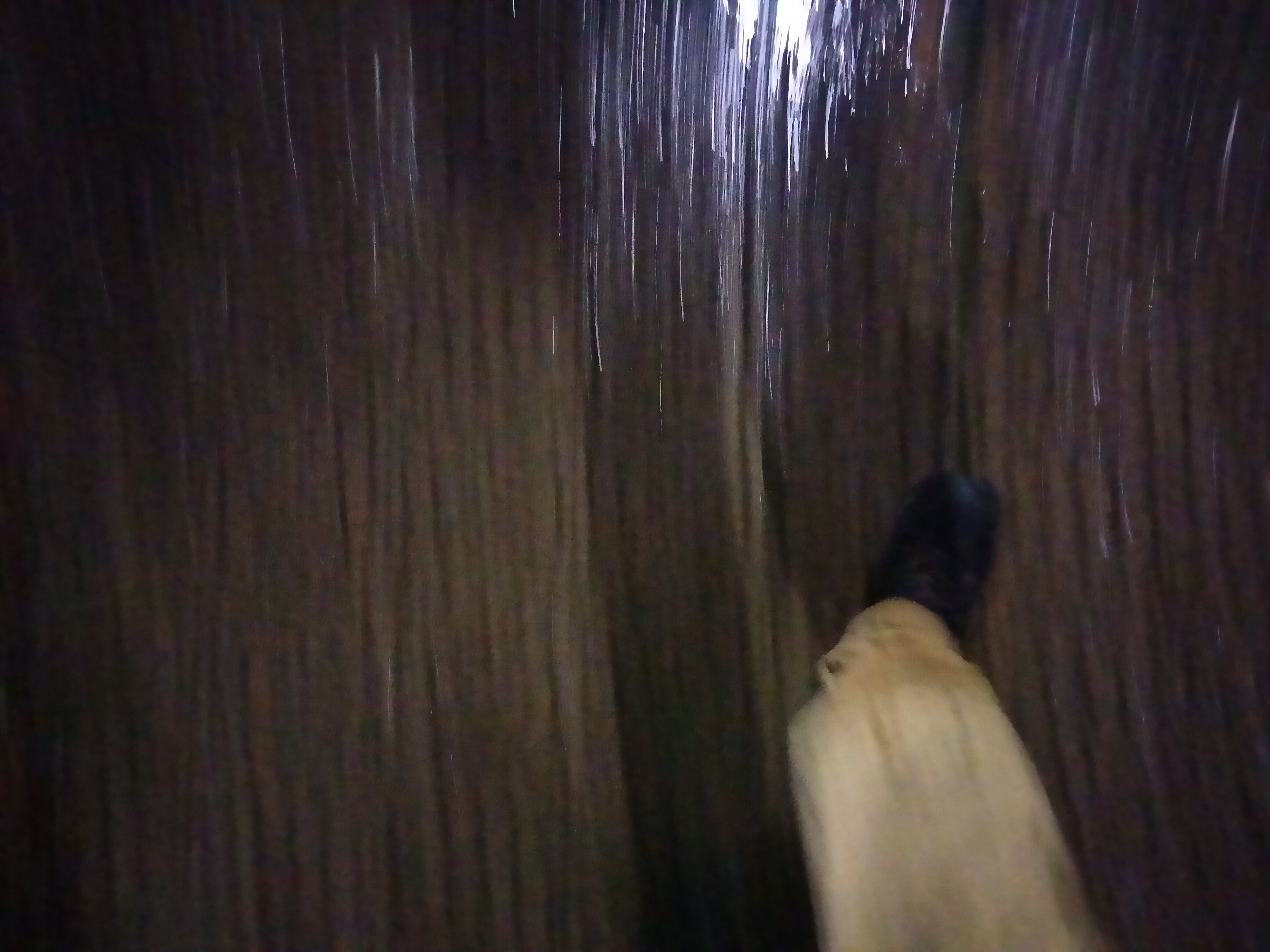 IMG20230222202547.jpg