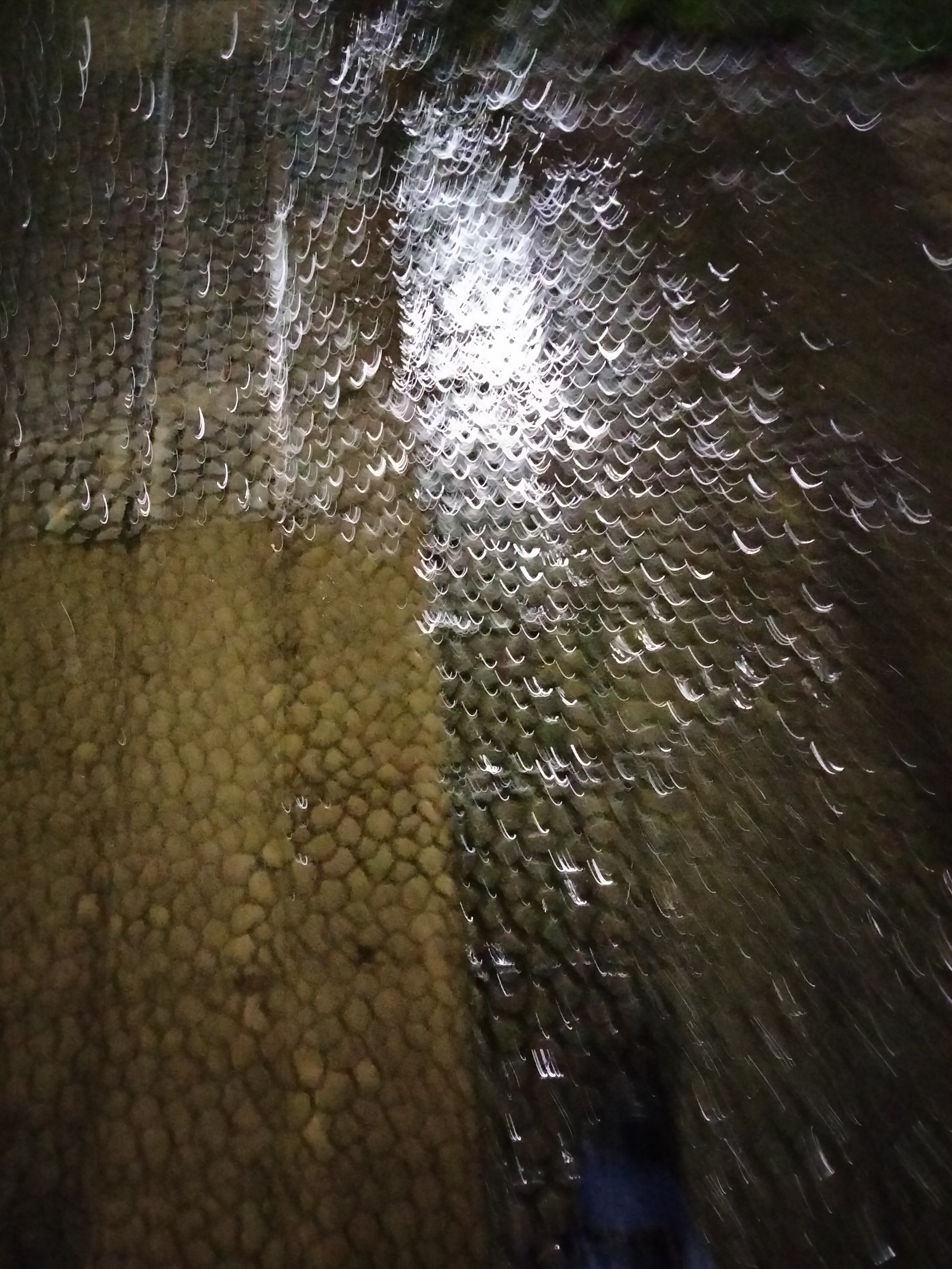IMG20230303195807.jpg