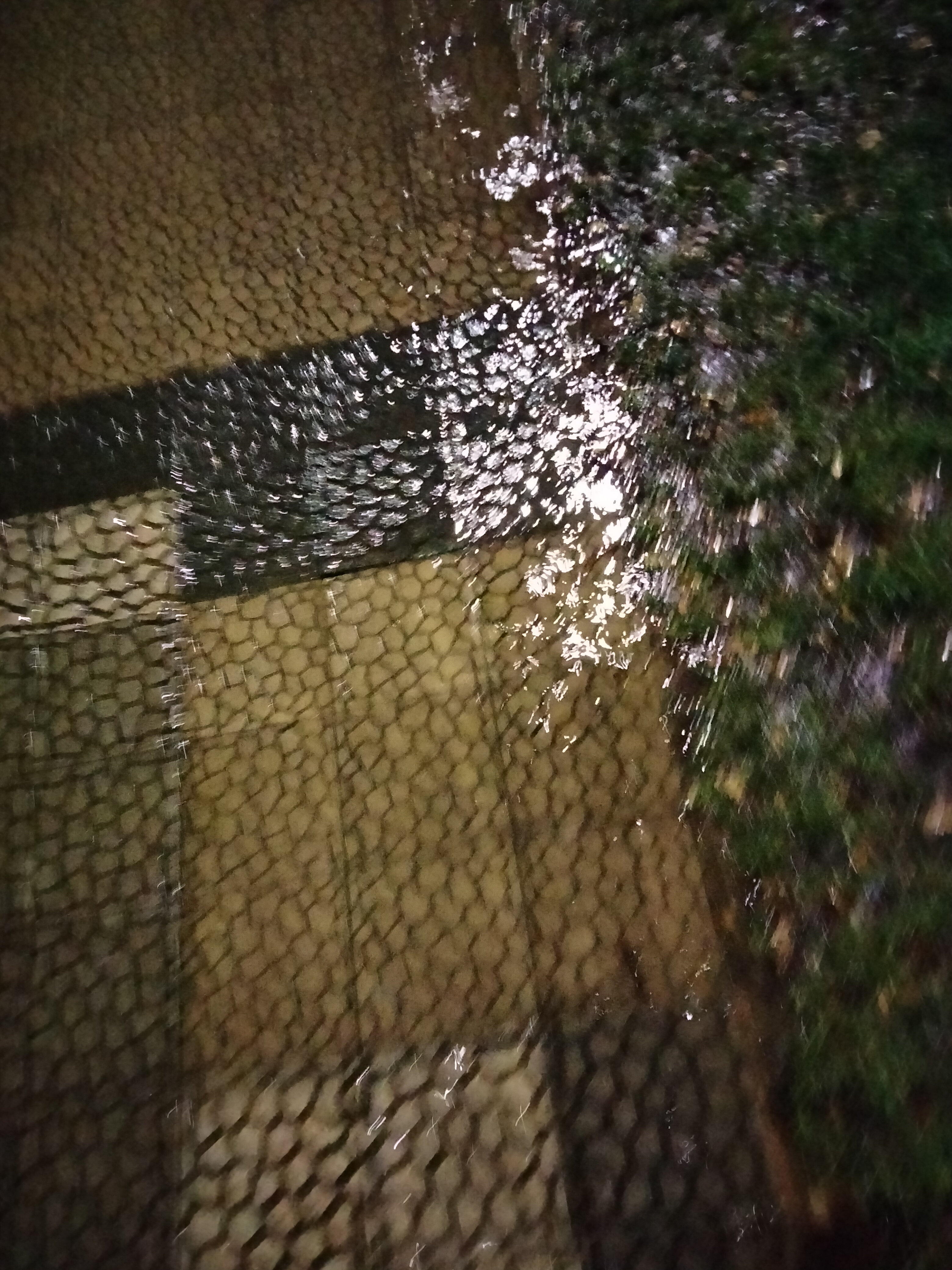 IMG20230303195810.jpg