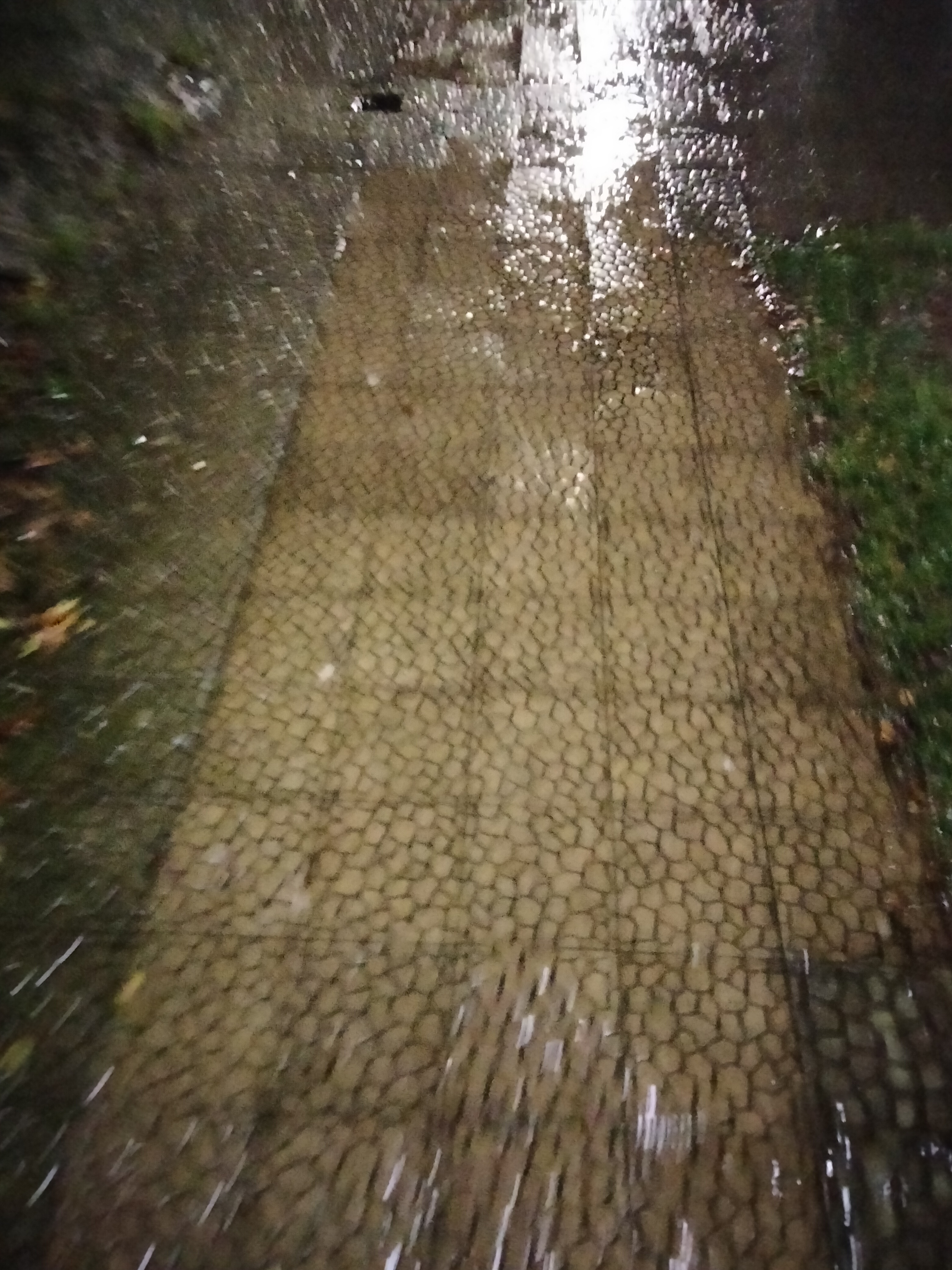 IMG20230303195821.jpg
