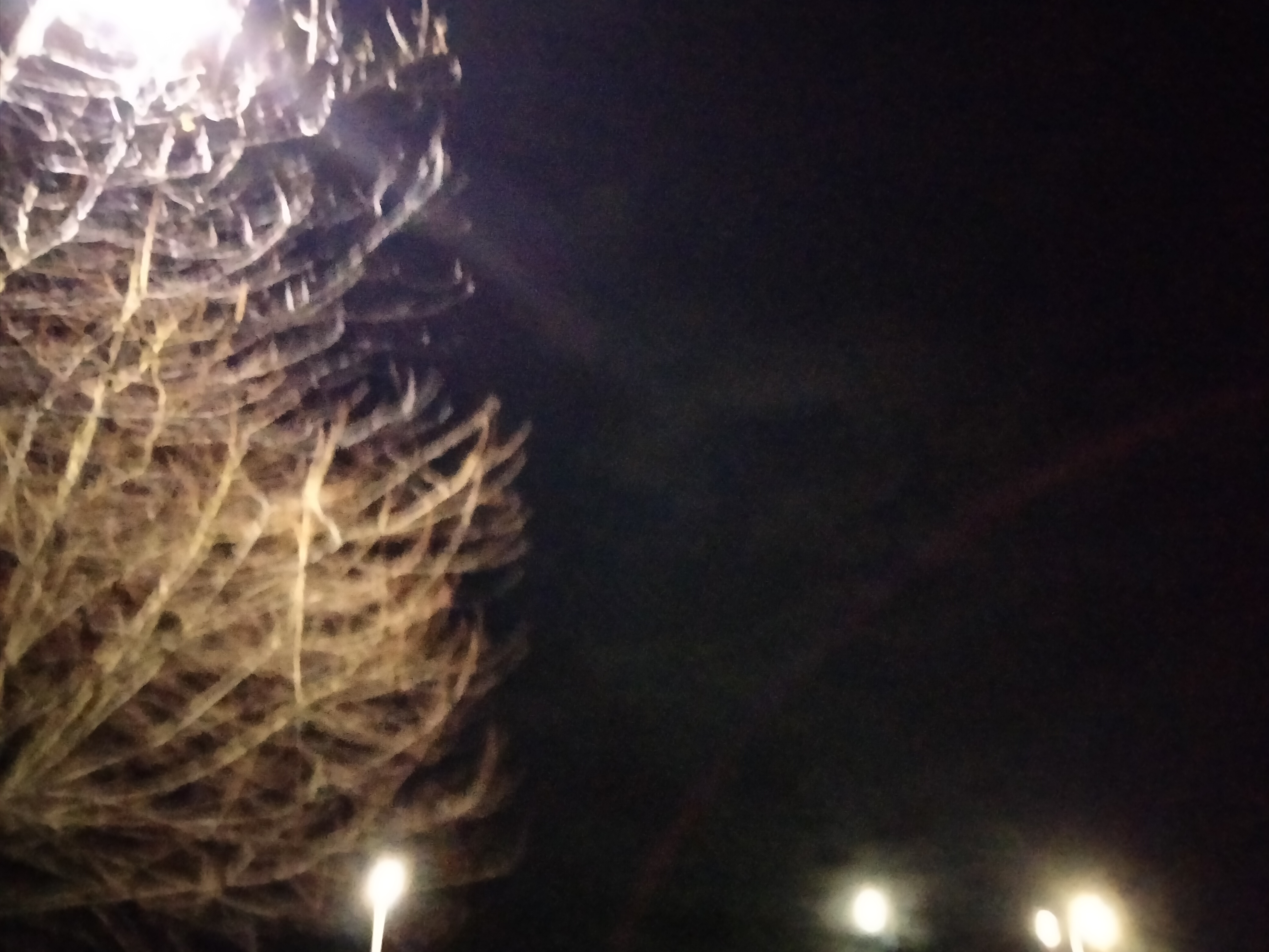 IMG20230308212145.jpg