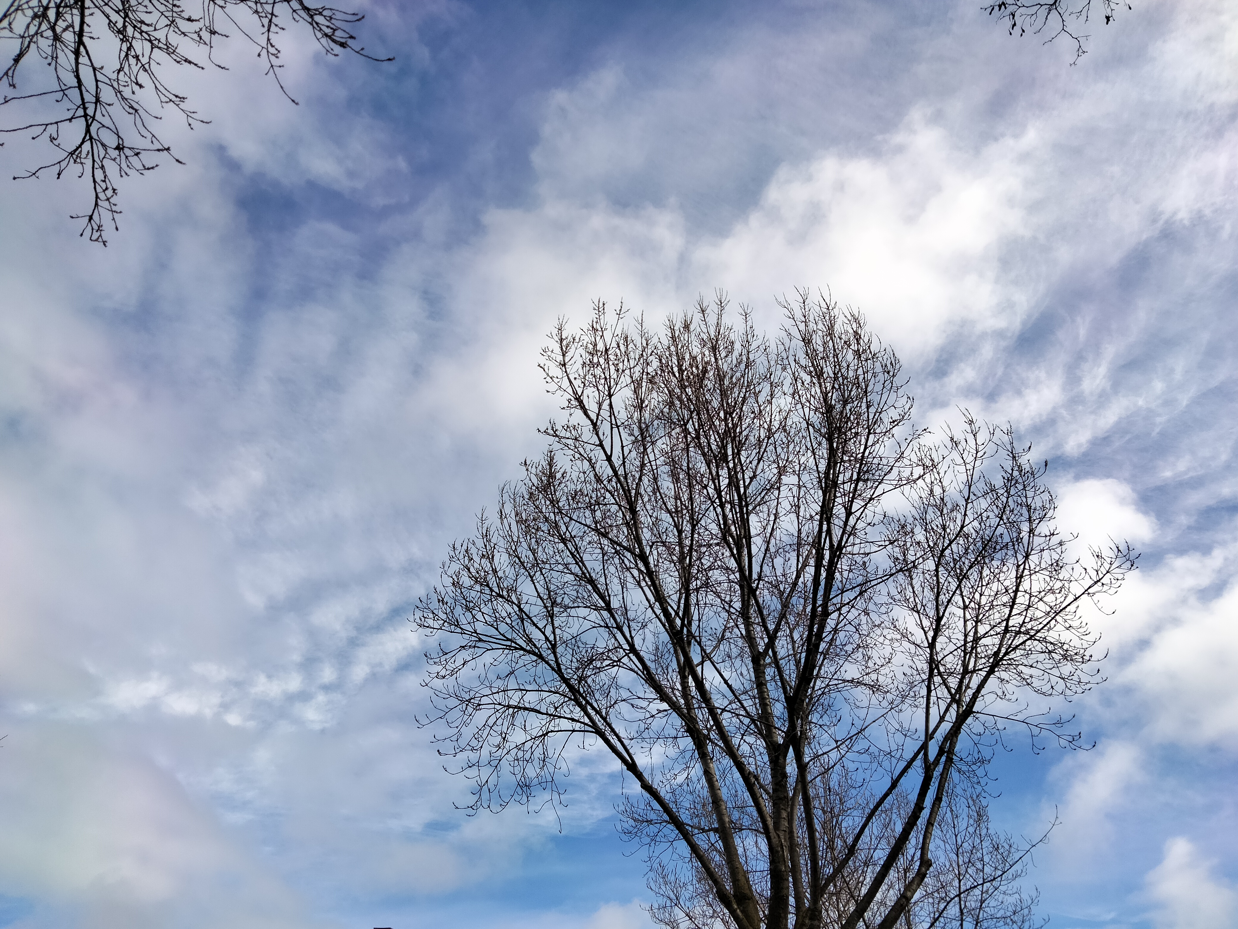 IMG20230319122819.jpg