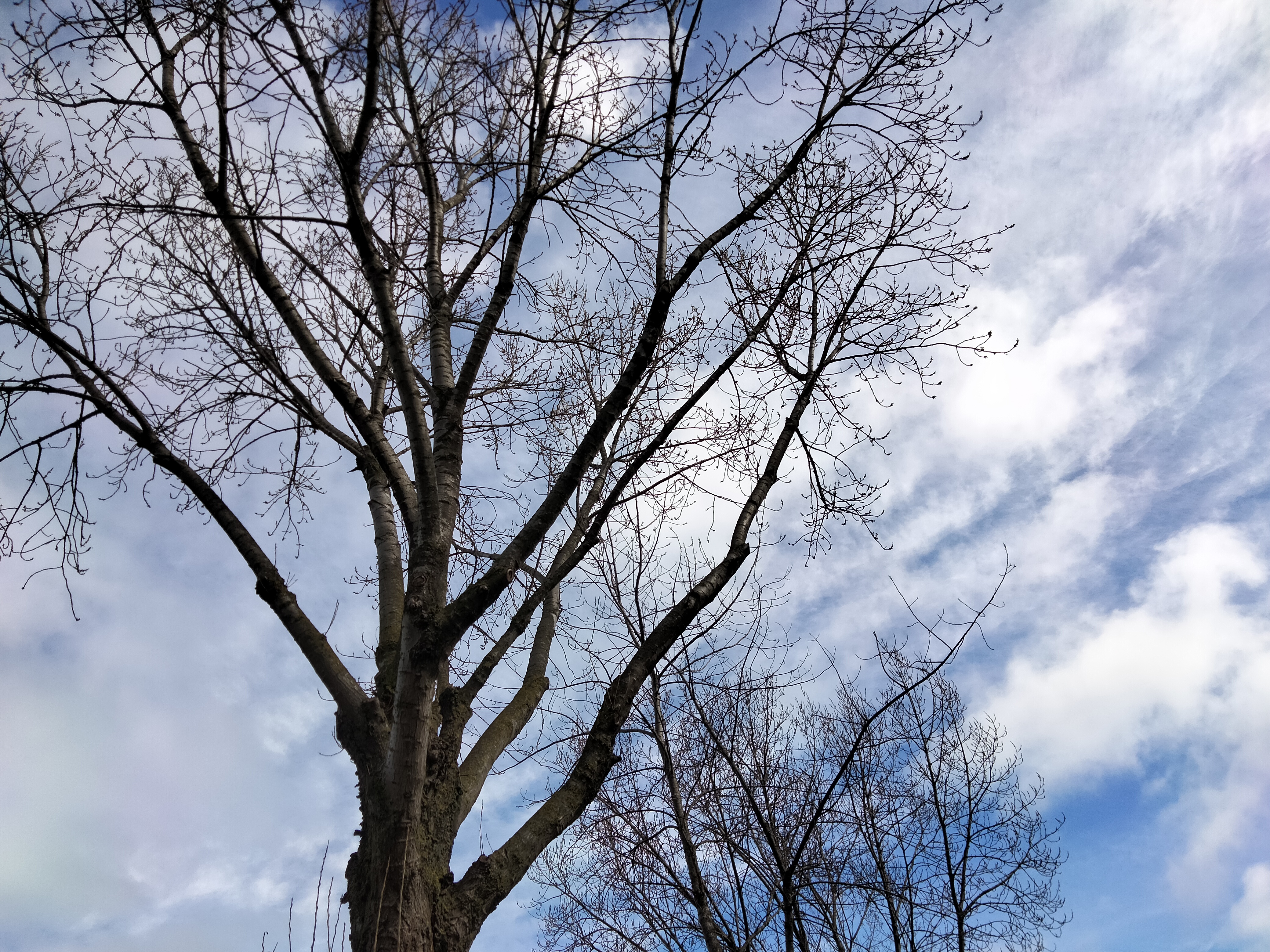 IMG20230319122837.jpg