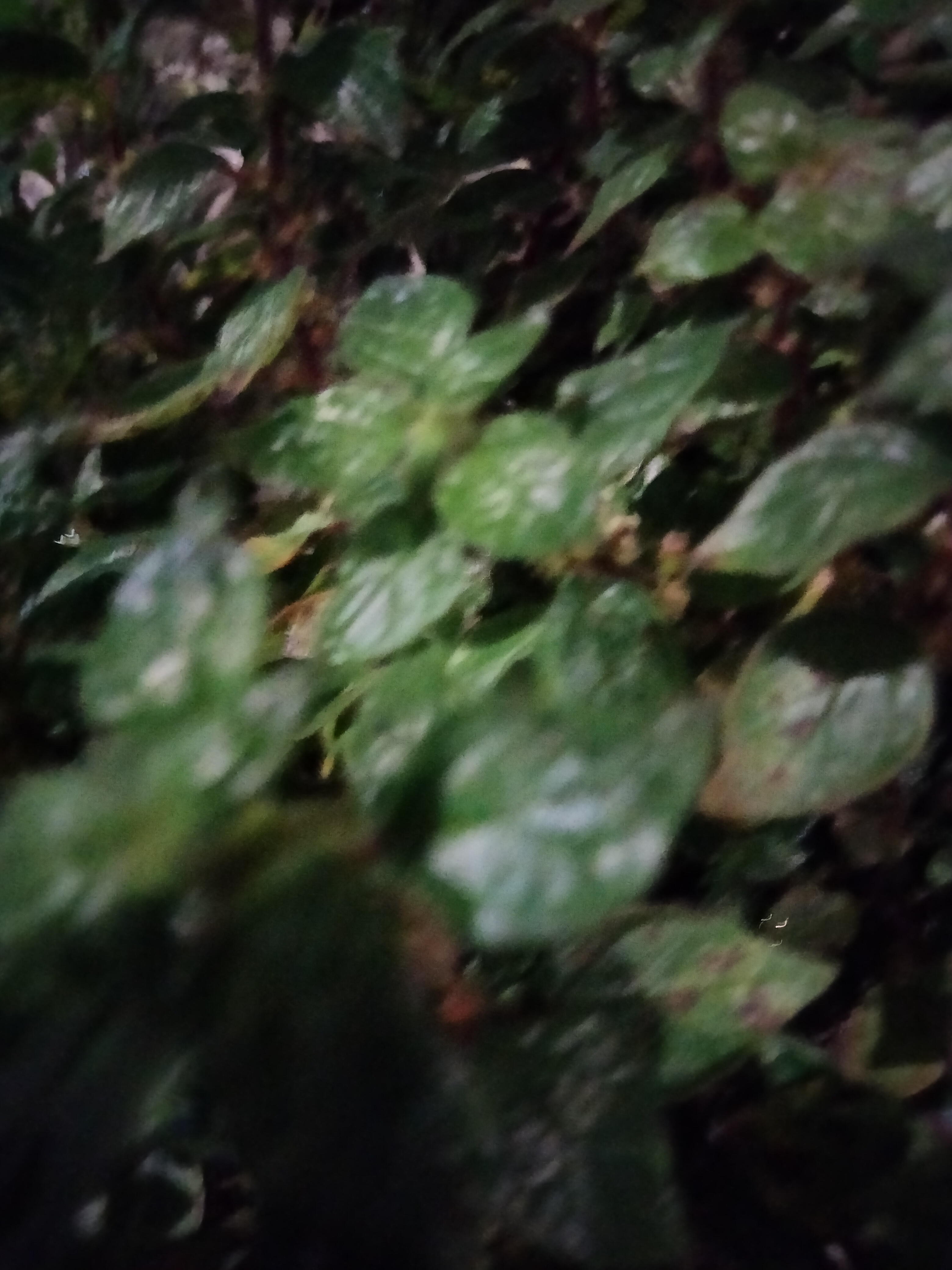 IMG20230320211323.jpg