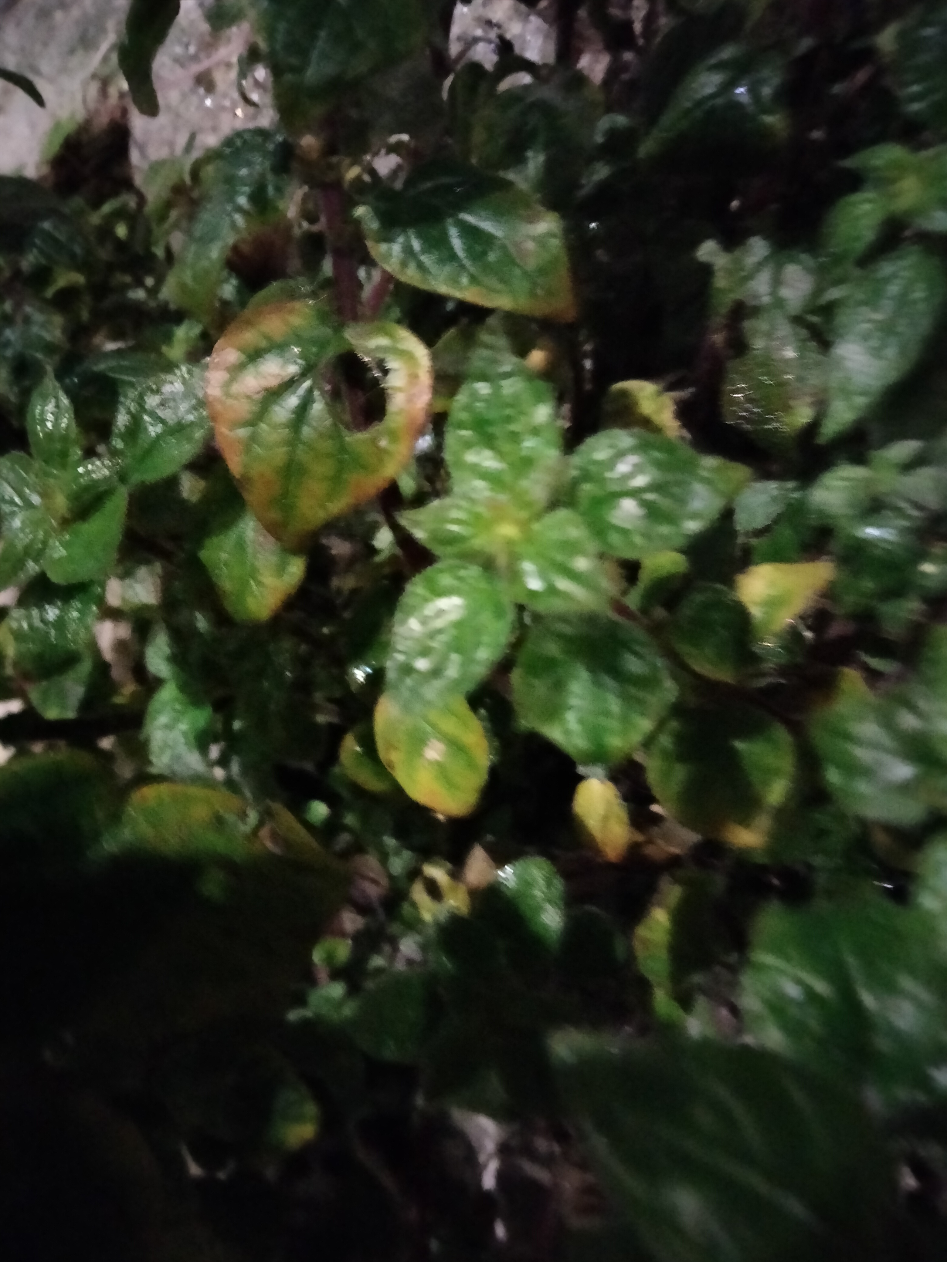 IMG20230320211325.jpg