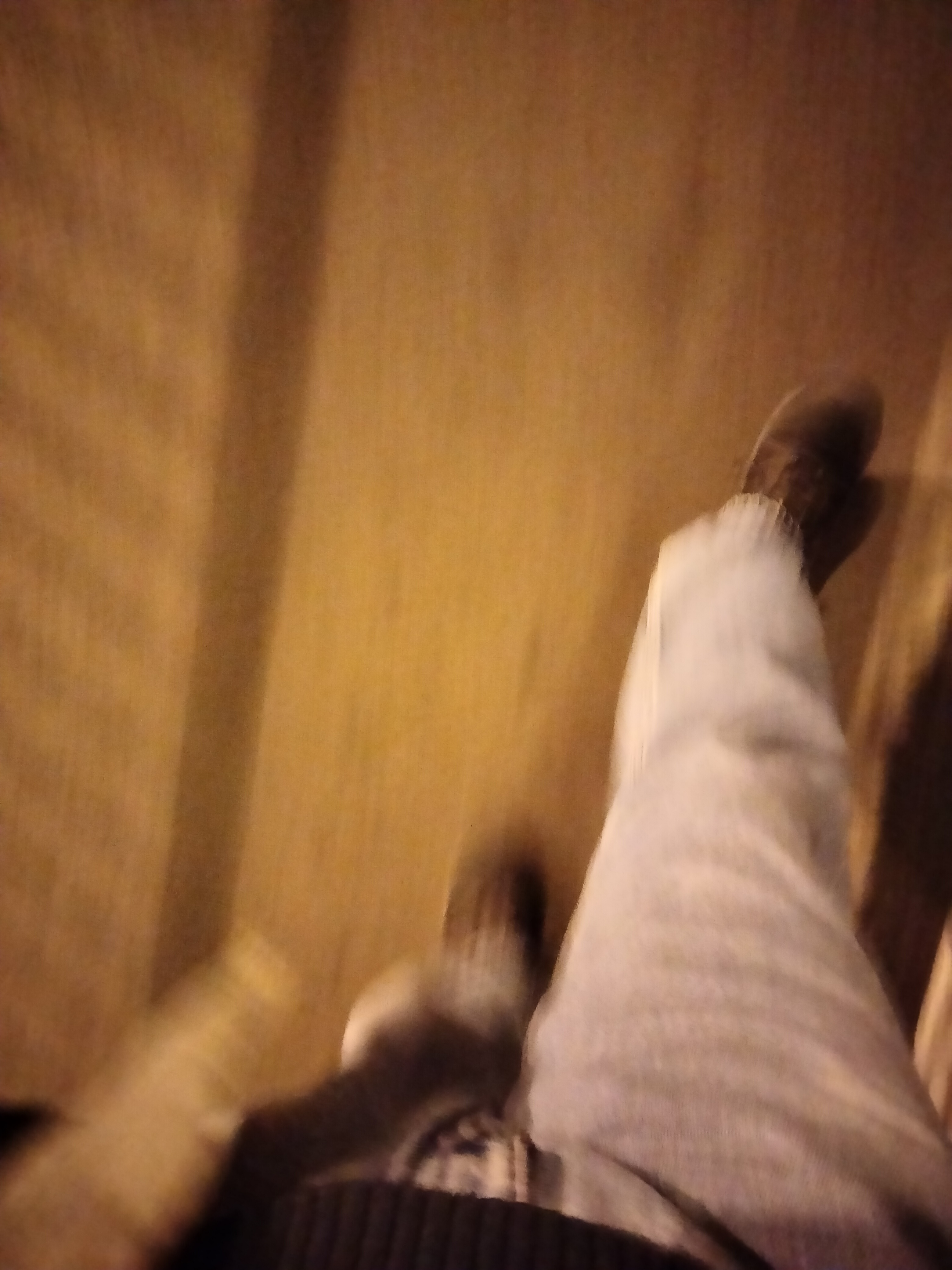 IMG20230331140744.jpg