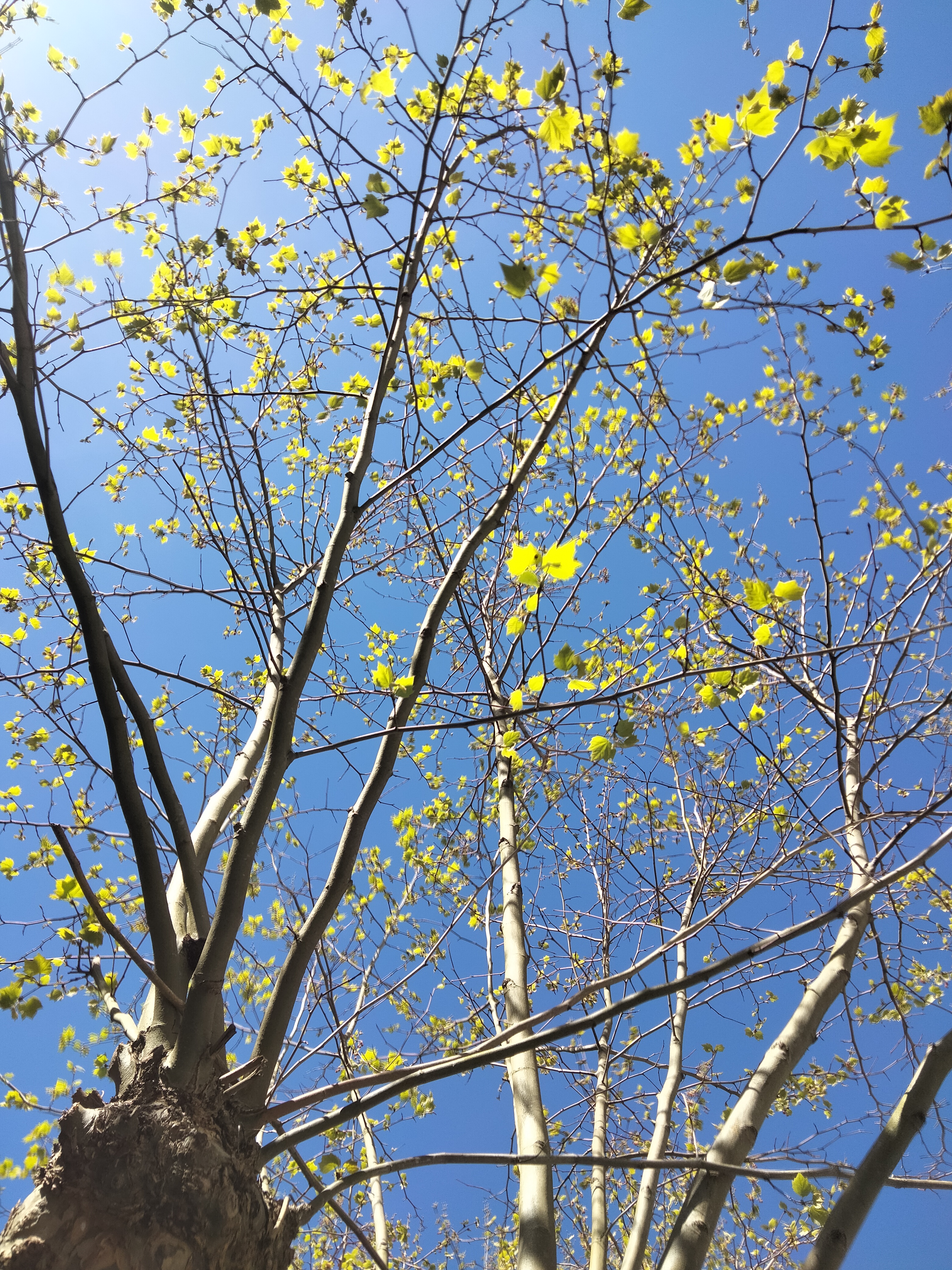 IMG20230403154432.jpg
