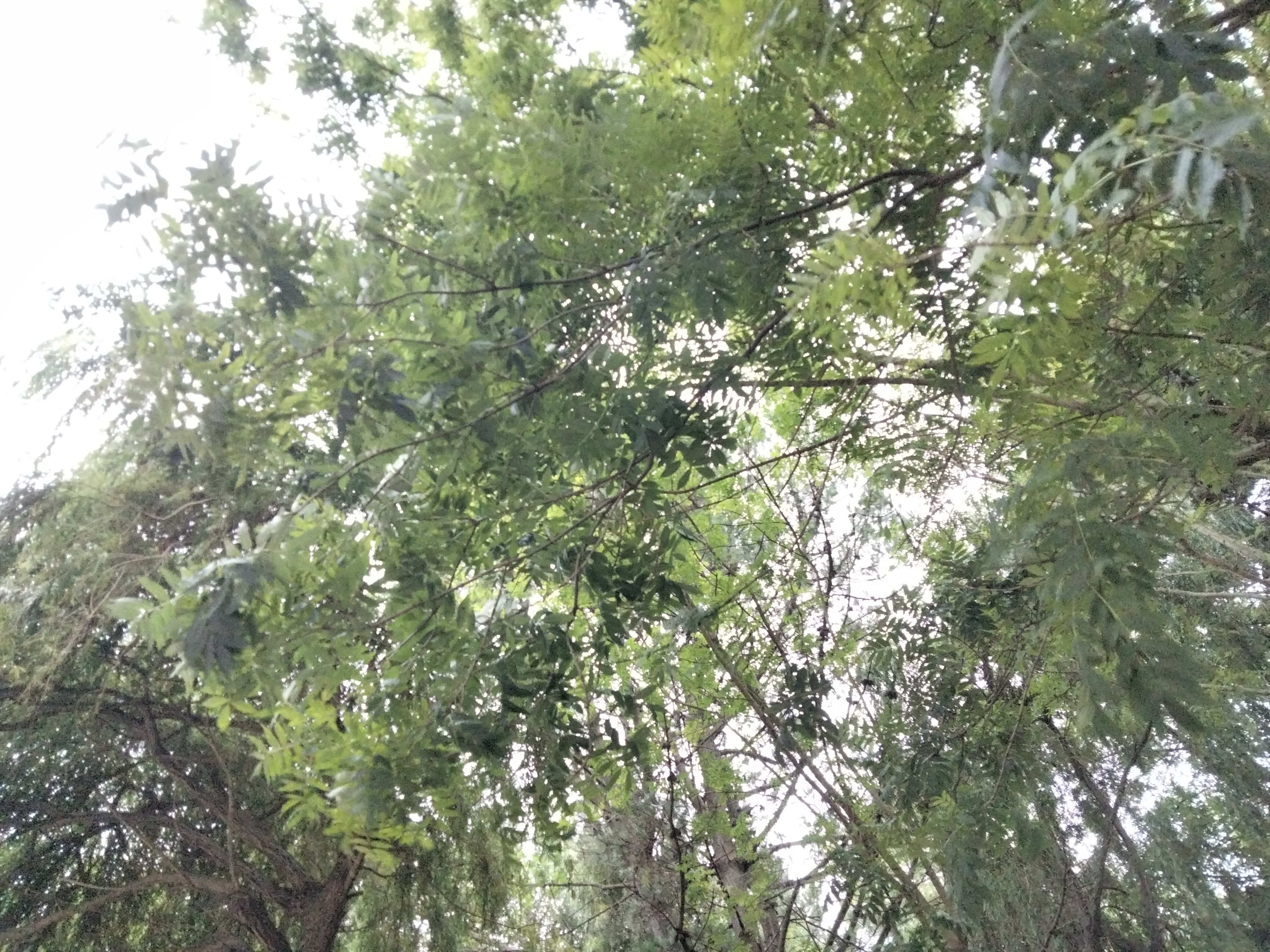 IMG20230702072130.jpg