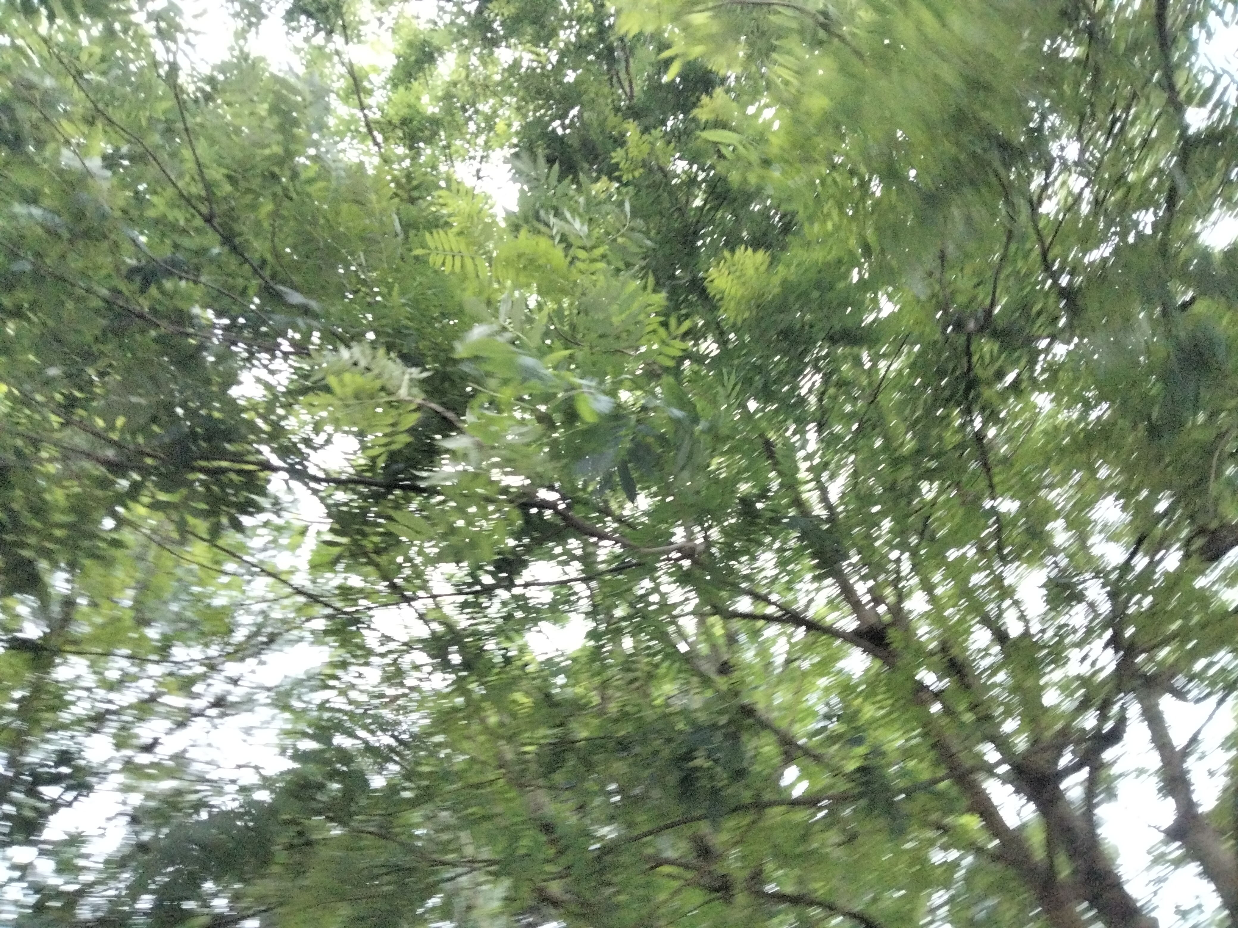 IMG20230702072132.jpg