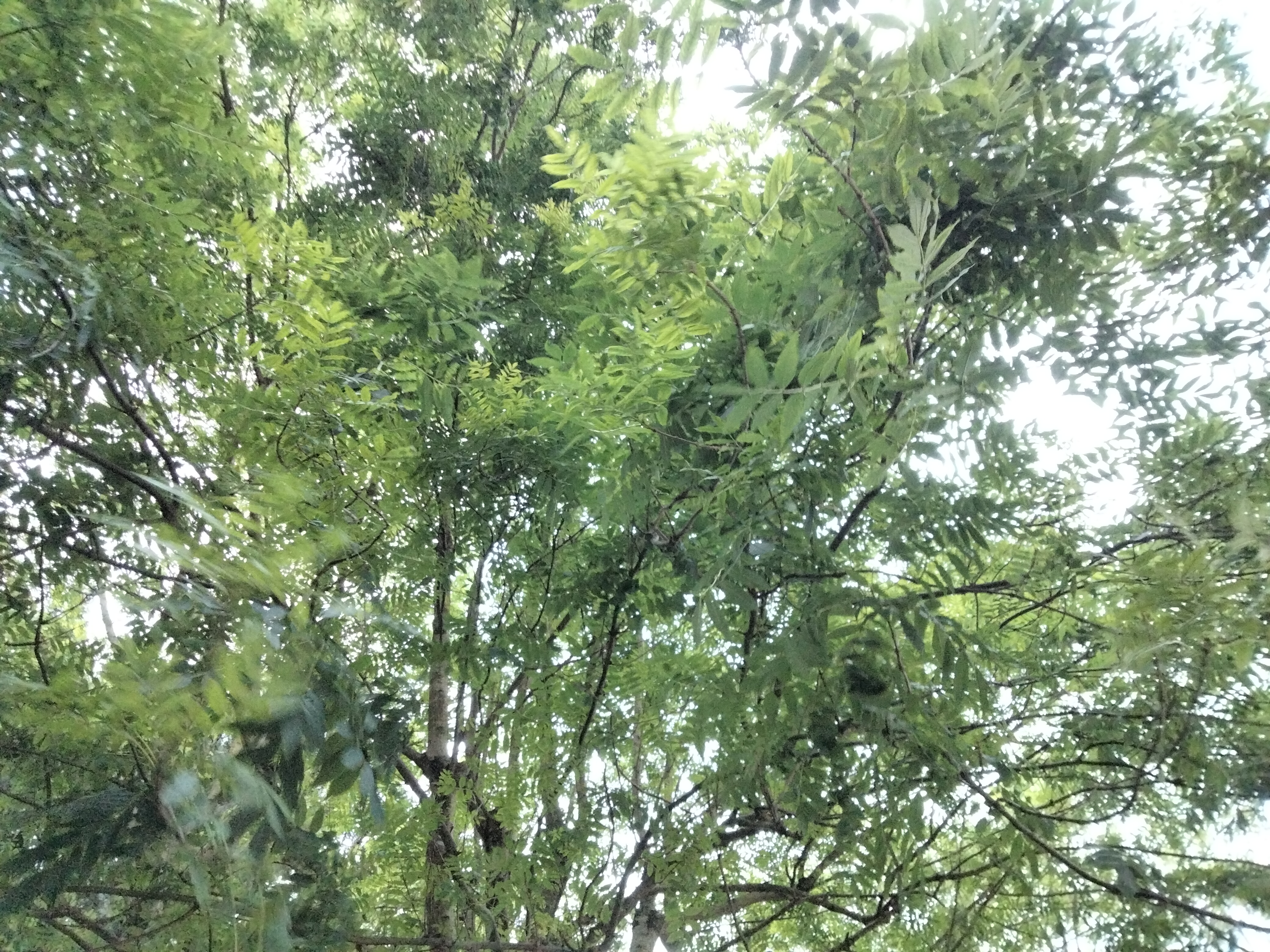IMG20230702072135.jpg
