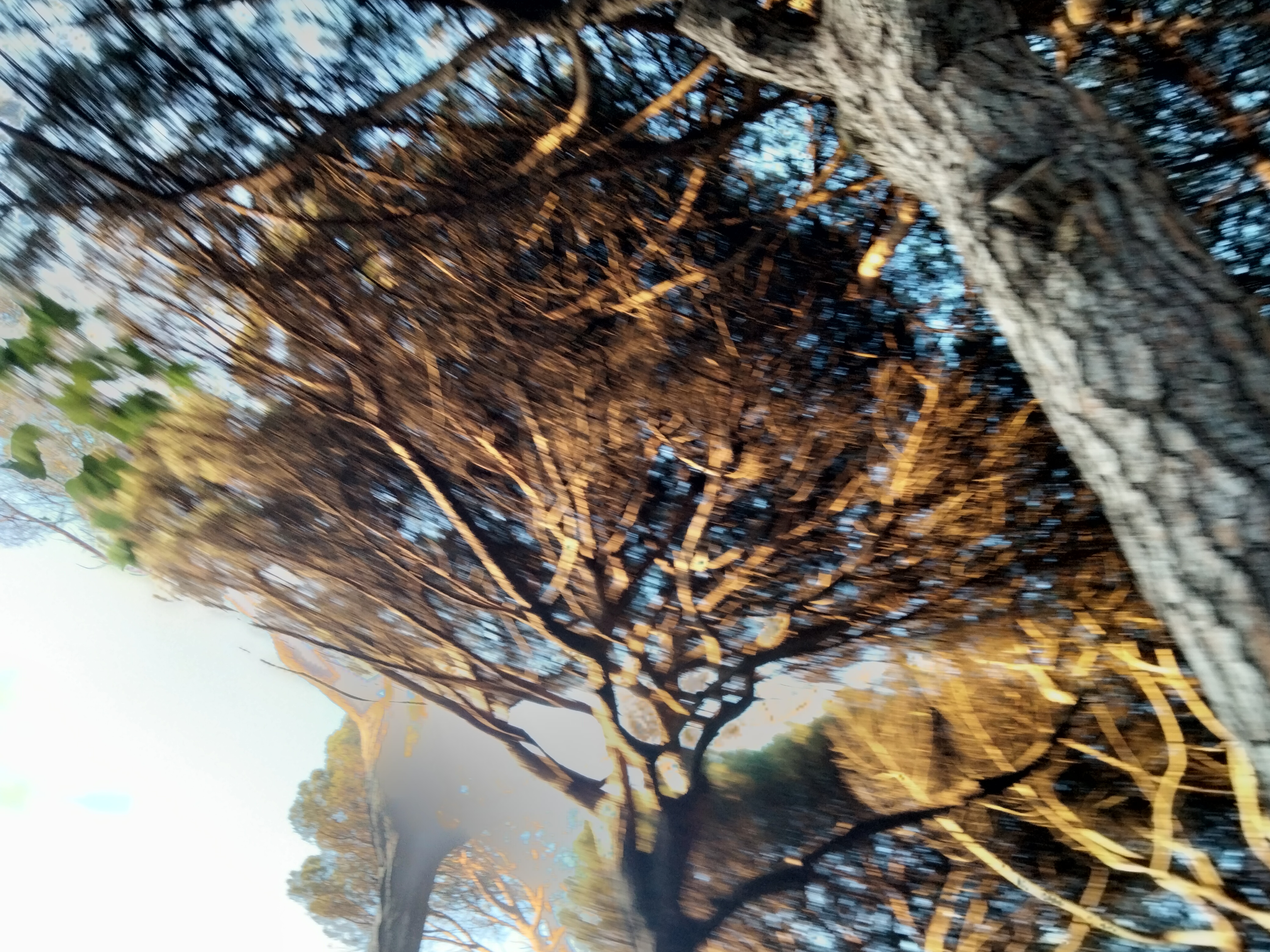 IMG20230731210653.jpg