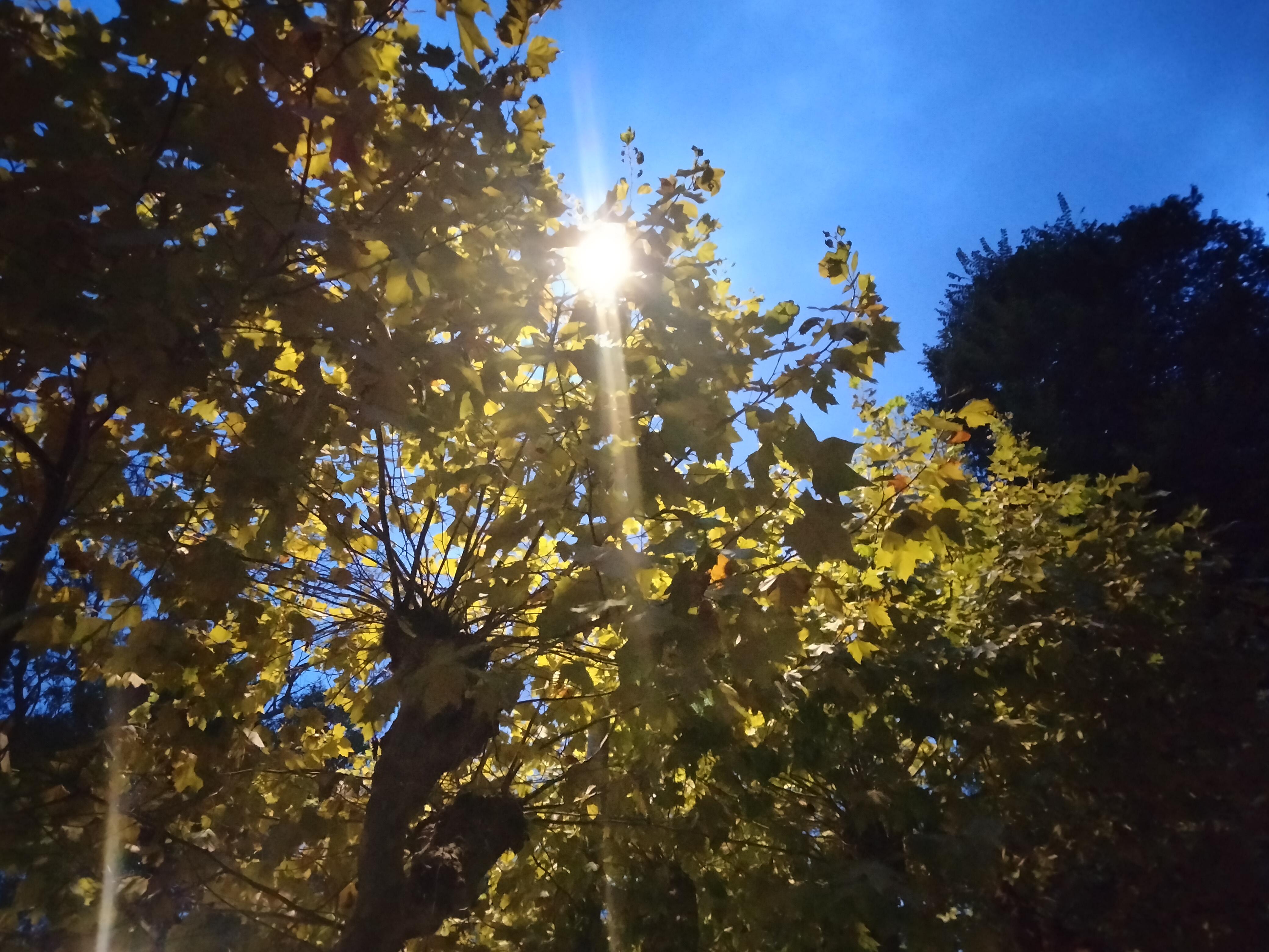 IMG20230921203608.jpg