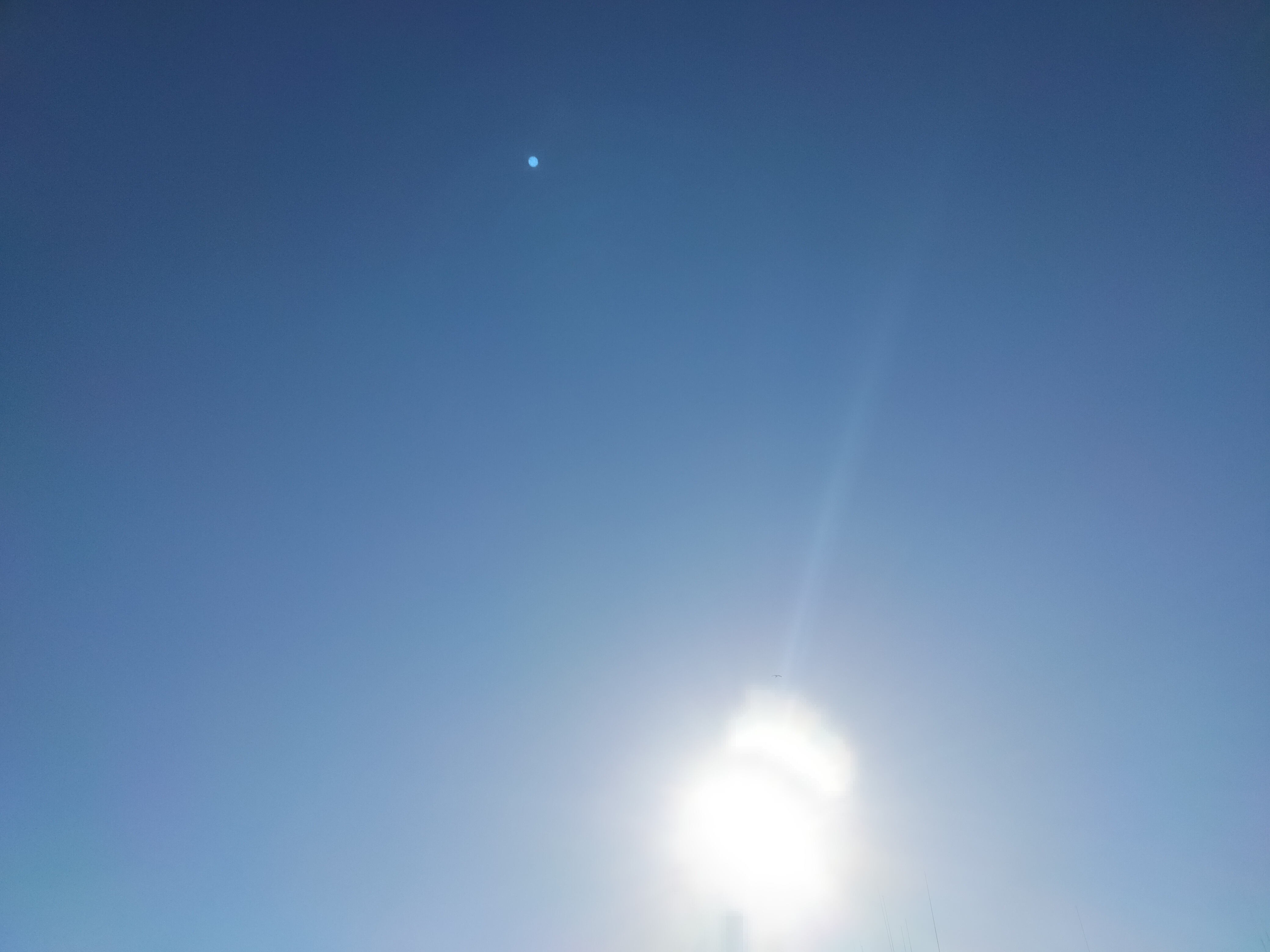 IMG20231216123248.jpg