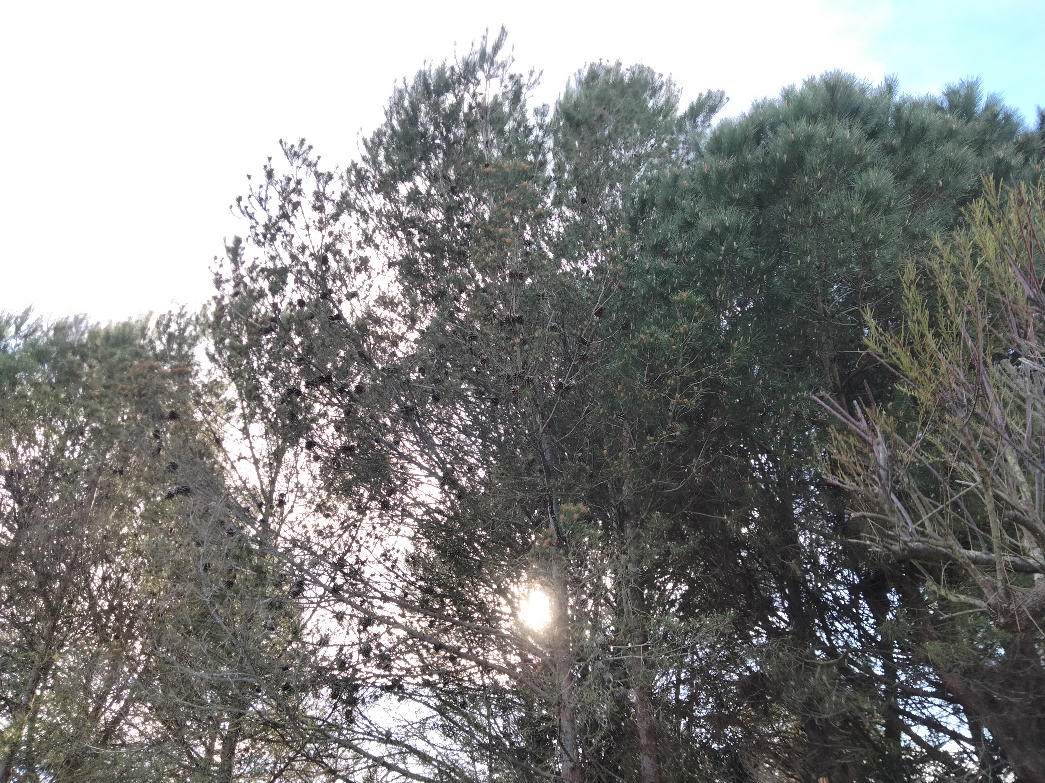 IMG20240309173227.jpg