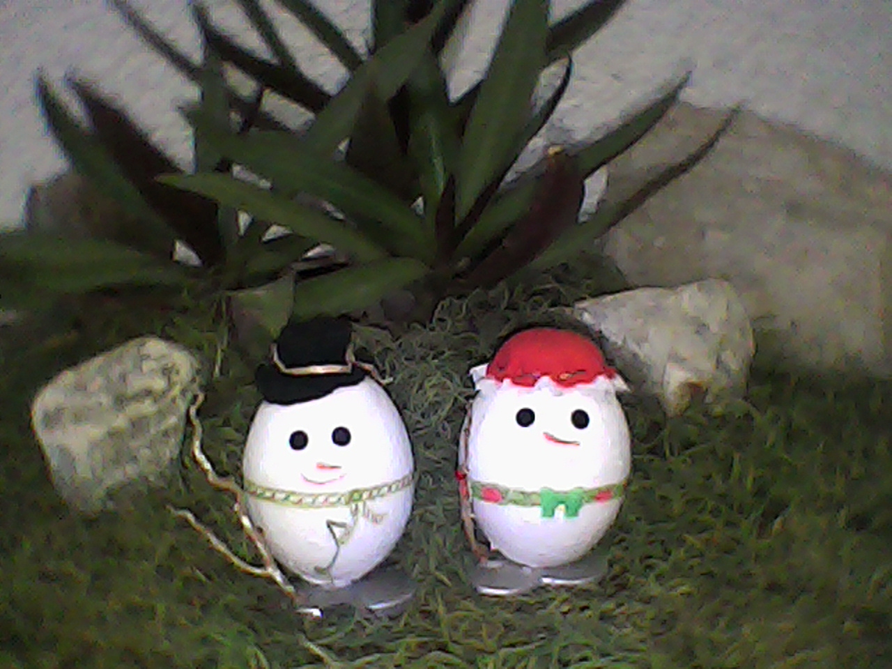 IMG_20191118_181943_1.jpg