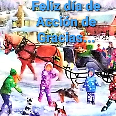 IMG_20191127_233636_088.jpg
