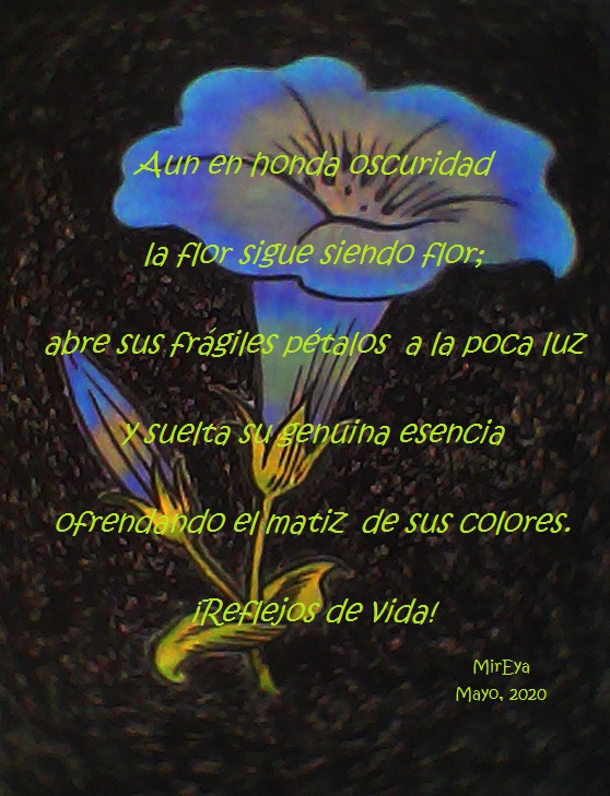 IMG_20200529_074201 - copia.jpg