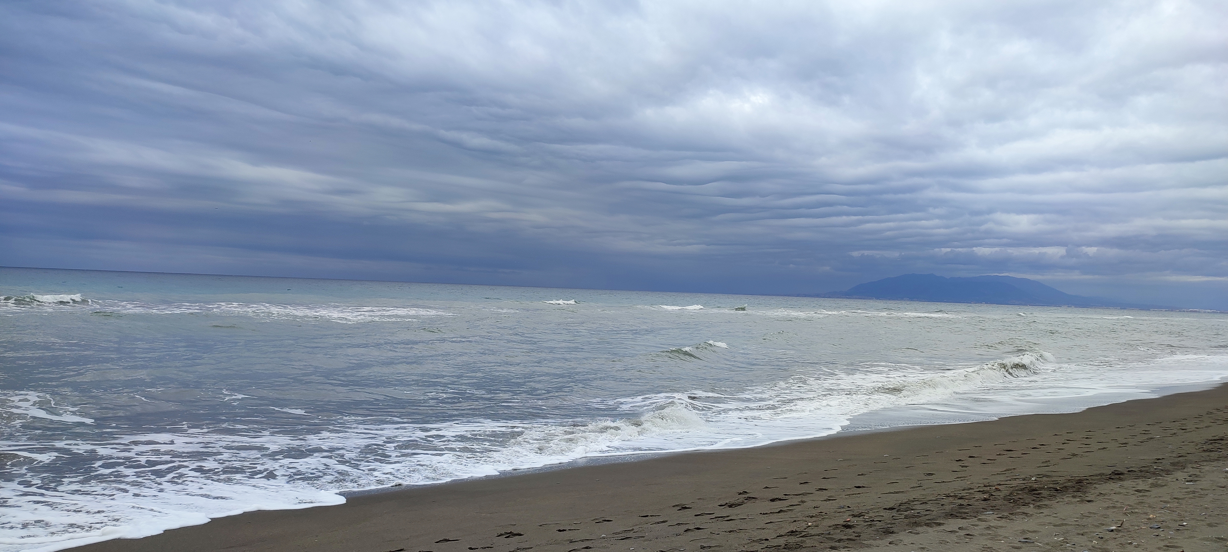 IMG_20220124_104154.jpg
