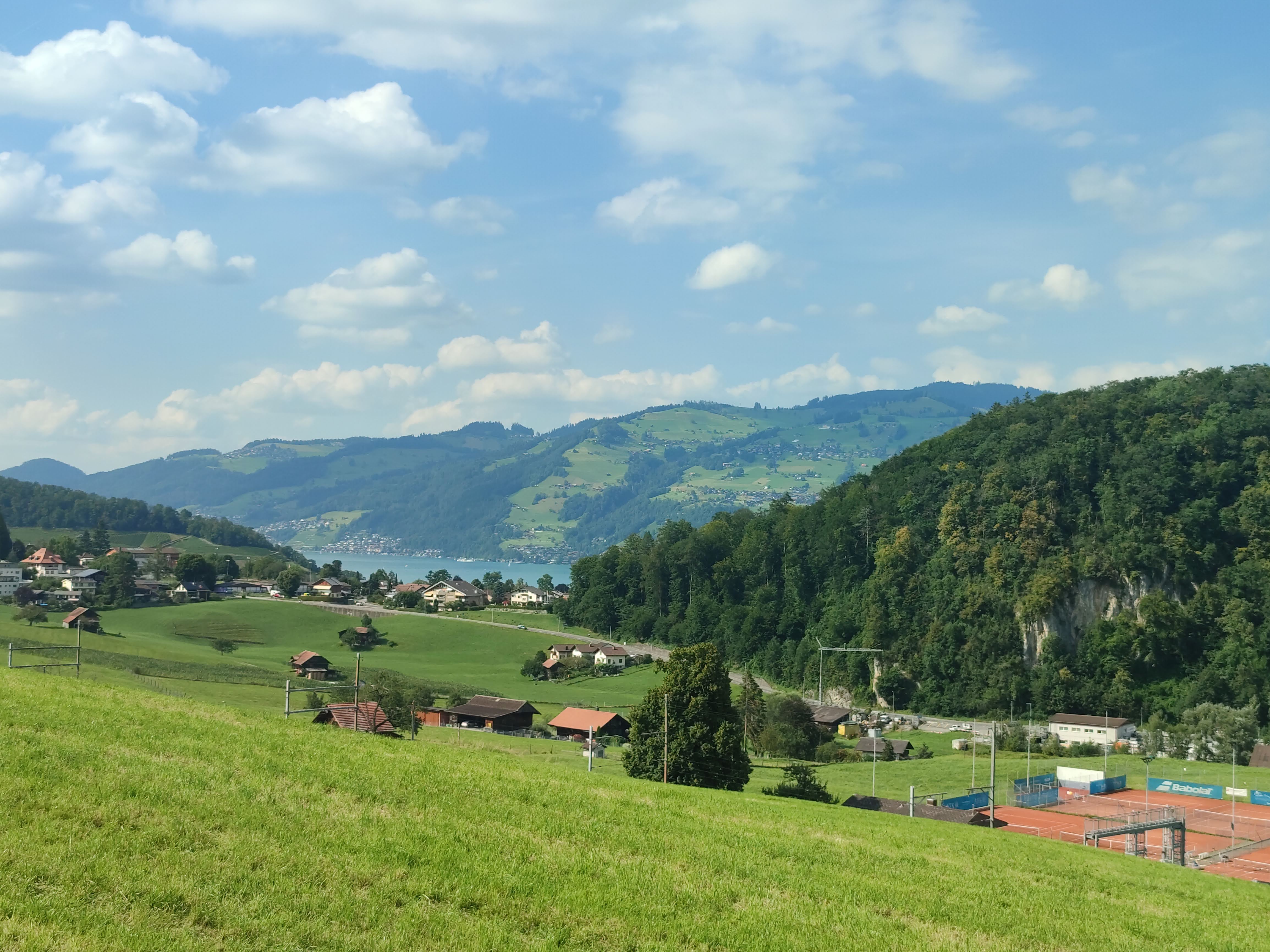 IMG_20240803_165234 (1).jpg